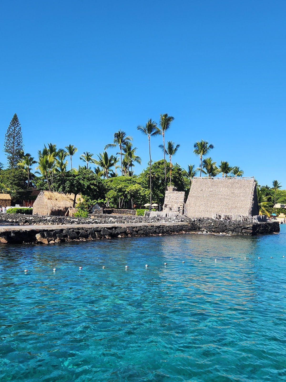 Photo 3 of Kona Glassbottom Boat in Kailua-Kona, Big Island