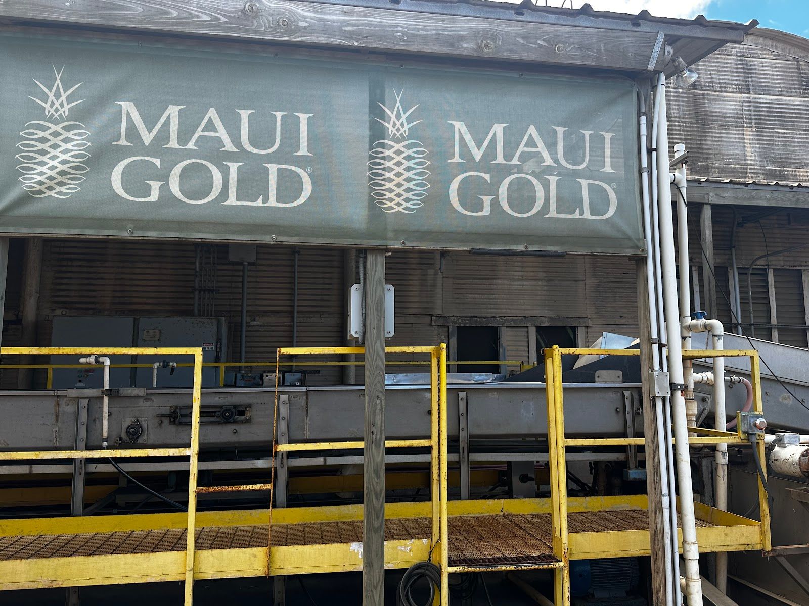 Photo 8 of Maui Gold Pineapple in Makawao & Pukalani, Maui