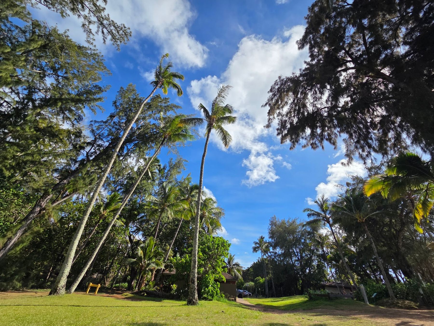 Photo 8 of D.T. Fleming Beach Park in Kapalua, Maui