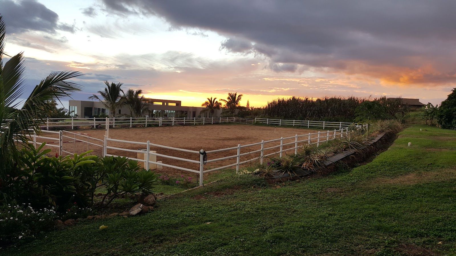 Photo 3 of Lahaina Stables in Lāhainā, Maui