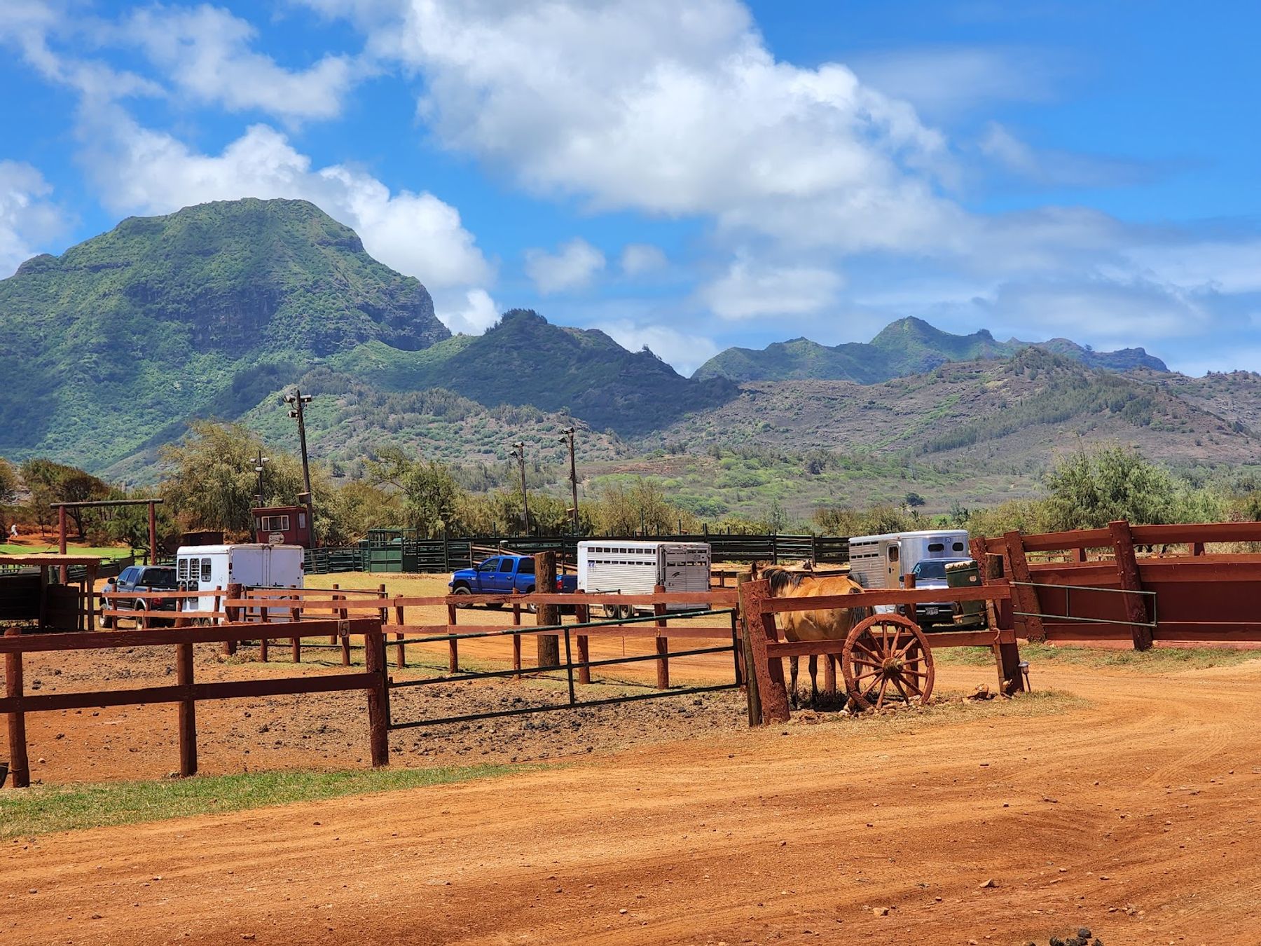 CJM Country Stables in Poʻipū, Kaua‘i photo 4