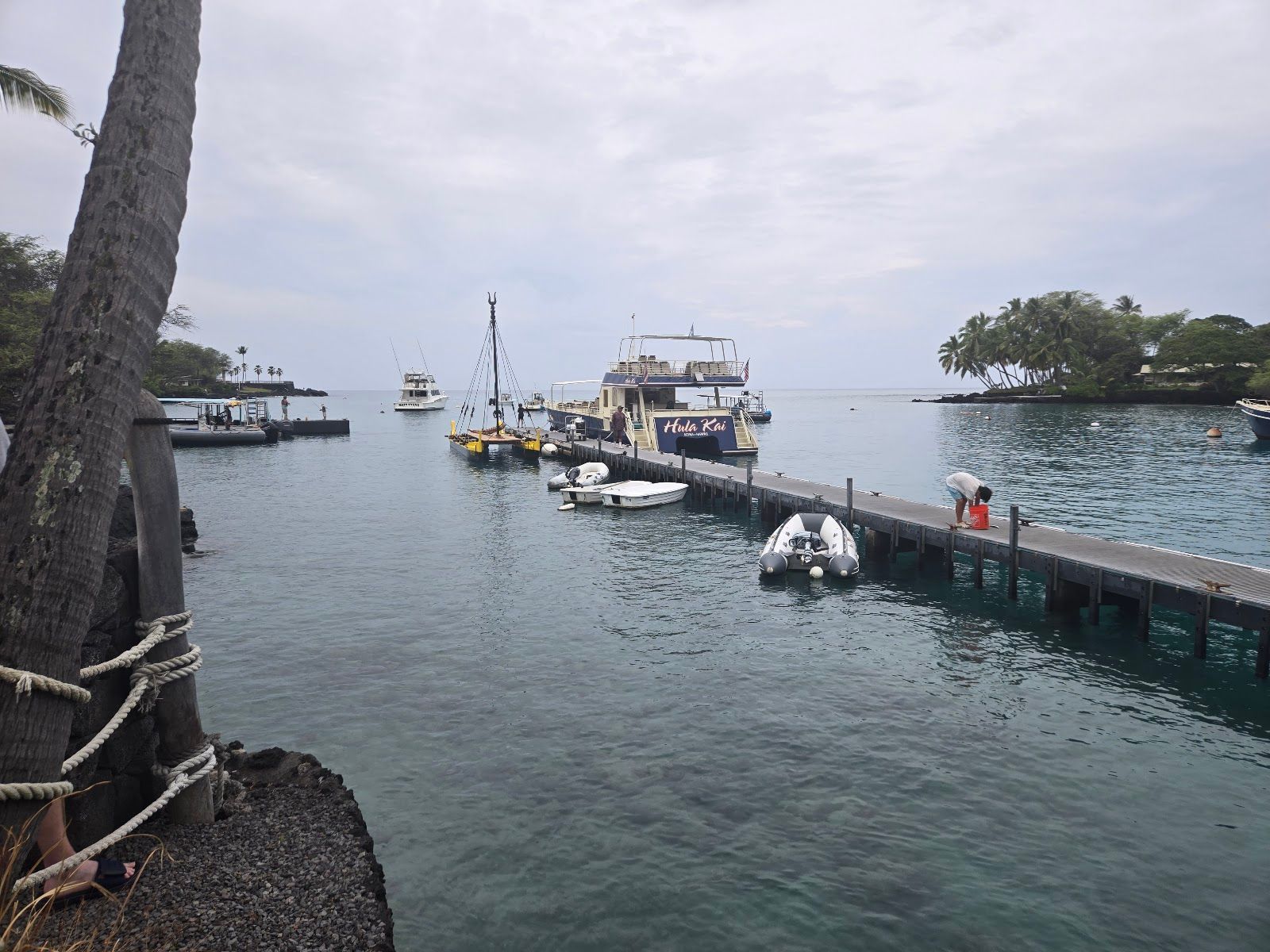 Photo 7 of Sea Quest Hawaii in Kailua-Kona, Big Island