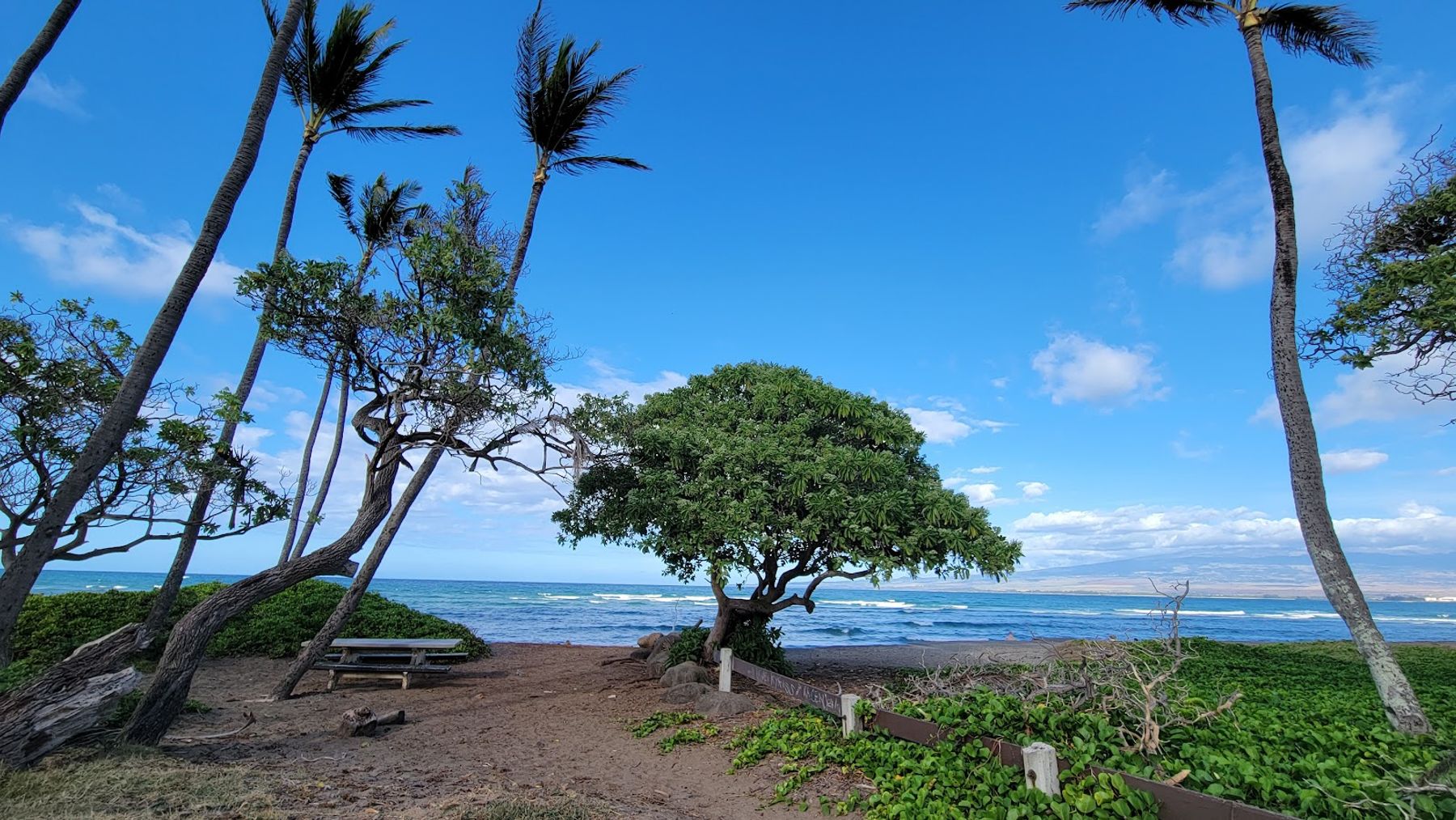 Photo 3 of Waiehu Beach Park in Wailuku, Maui