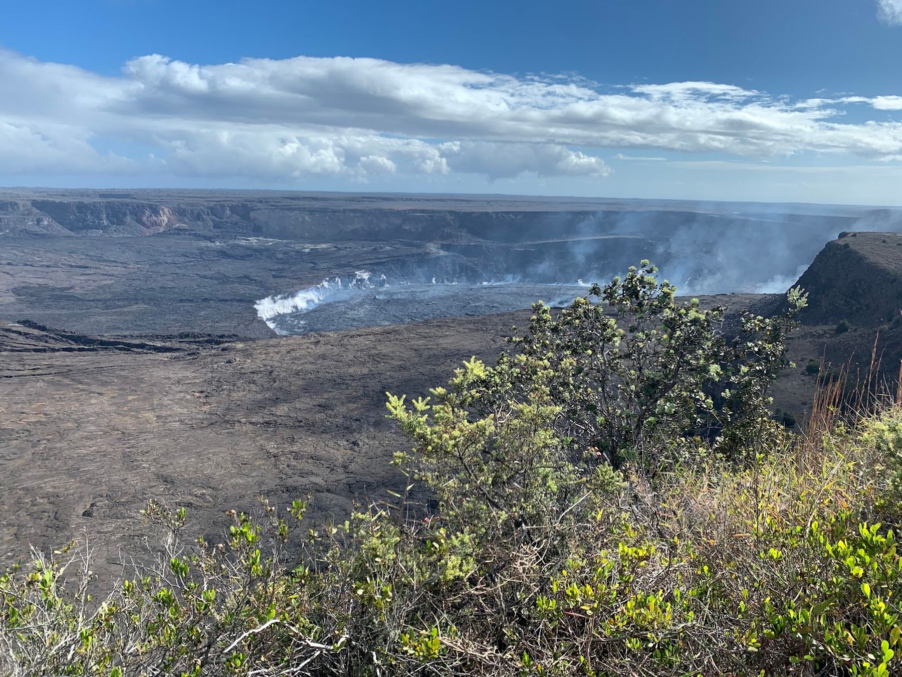 Photo 3 of Devastation Trail in Volcano, Big Island