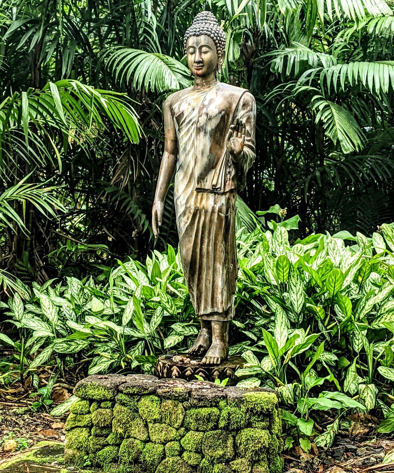 Photo 5 of Lyon Arboretum in Mānoa, Makiki & Nuʻuanu, Oahu
