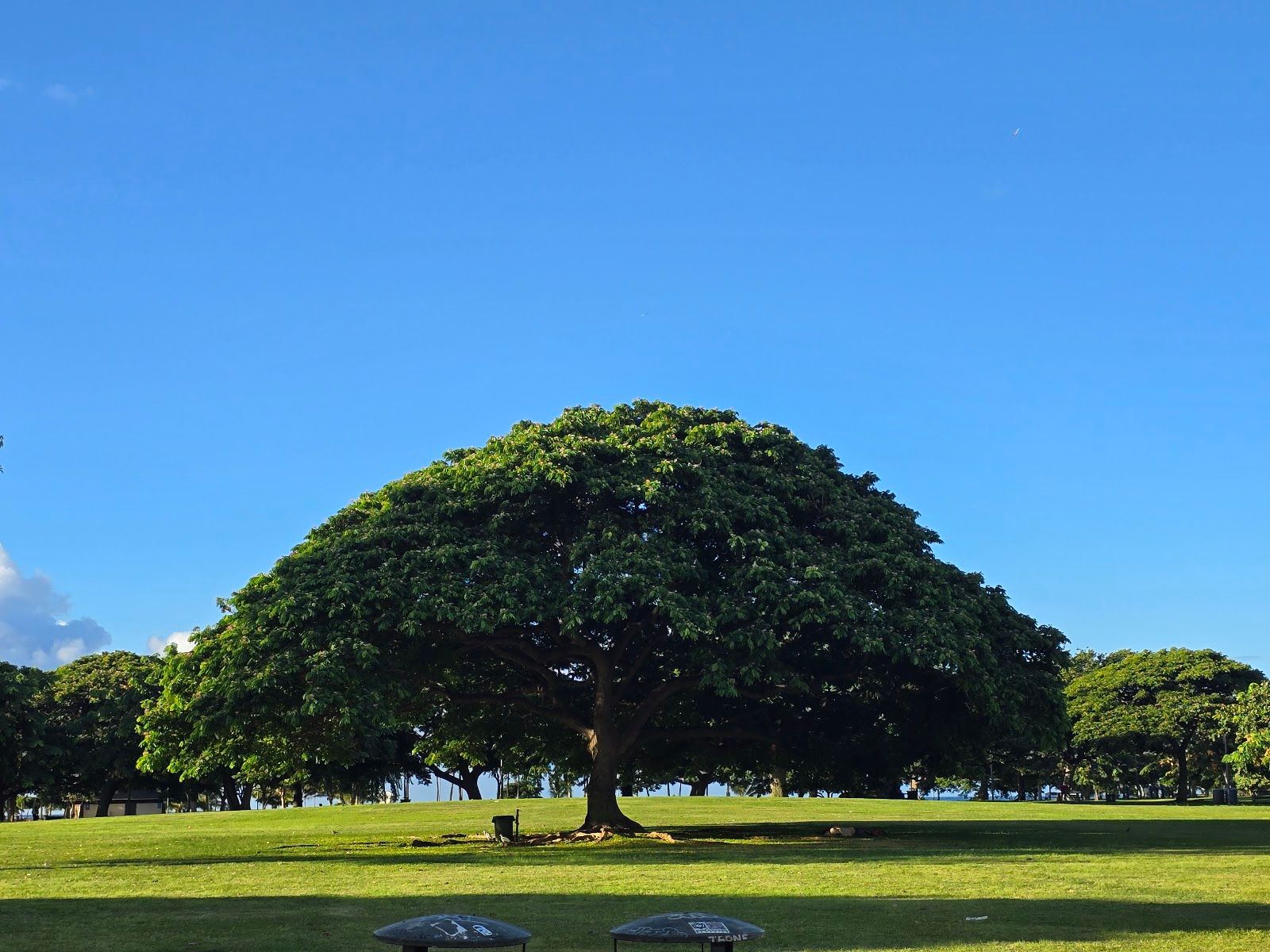 Photo 3 of Magic Island in Ala Moana & Mōʻiliʻili, Oahu