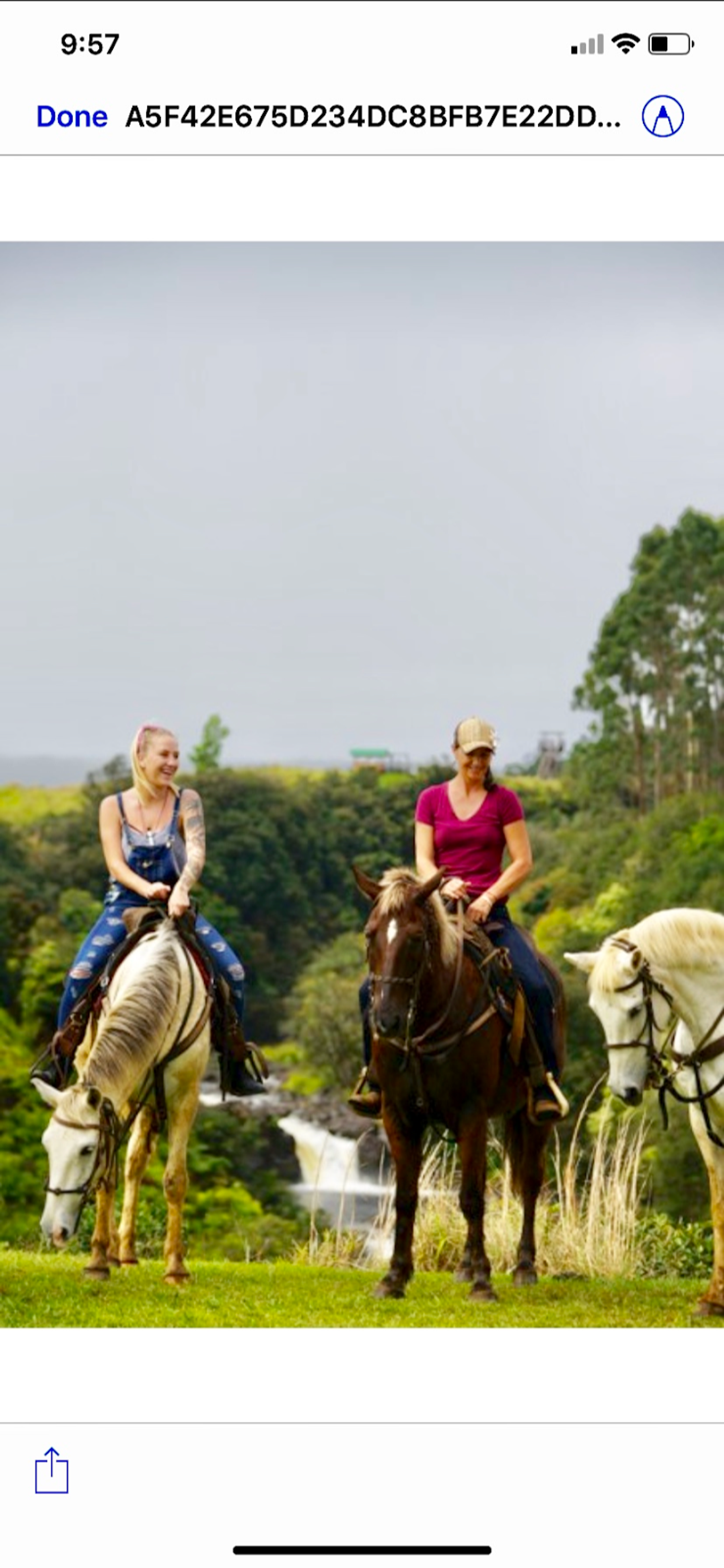 Photo 1 of Wailea Horseback Adventure - Waipio Ridge Stables LLC in Greater Hilo, Big Island