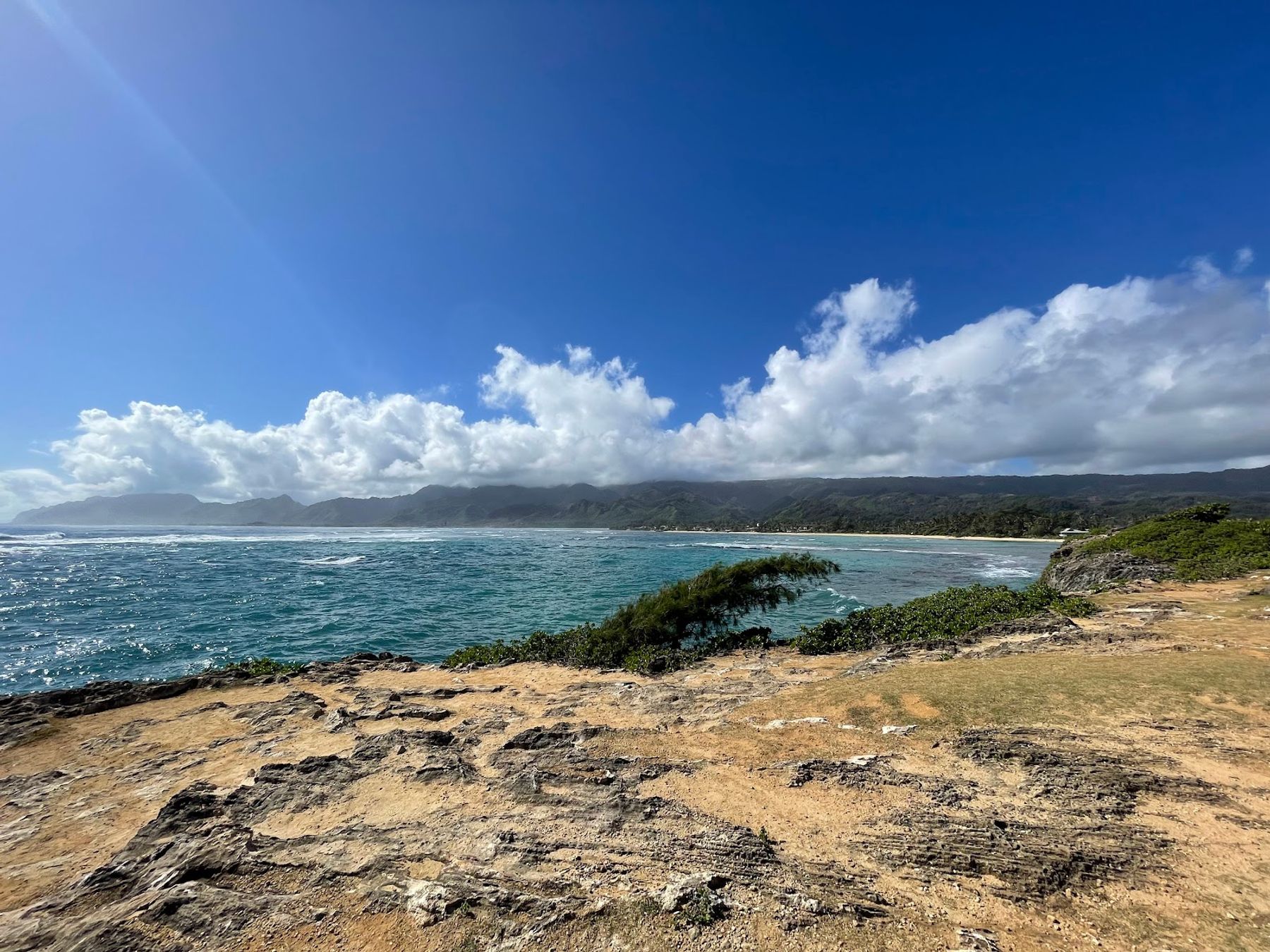 Photo 3 of Lāʻie Point State Wayside in Lāʻie, Oahu