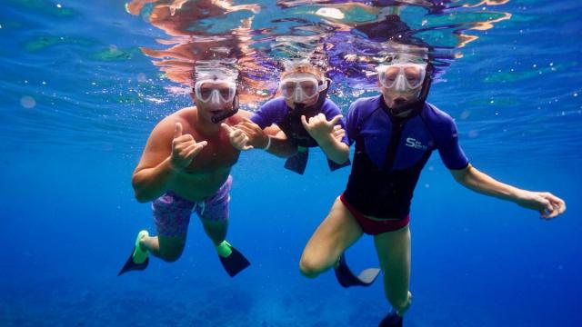 Snorkelers on a tour