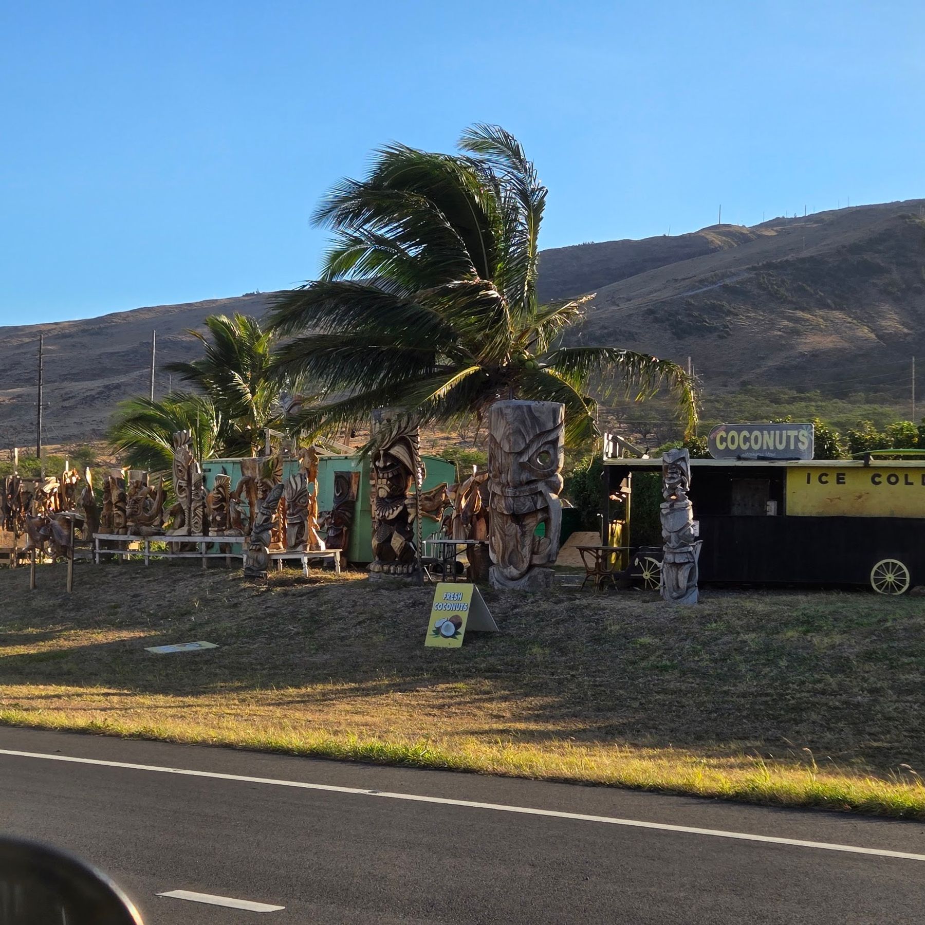 Photo 4 of The Coconut Inc in Māʻalaea, Maui