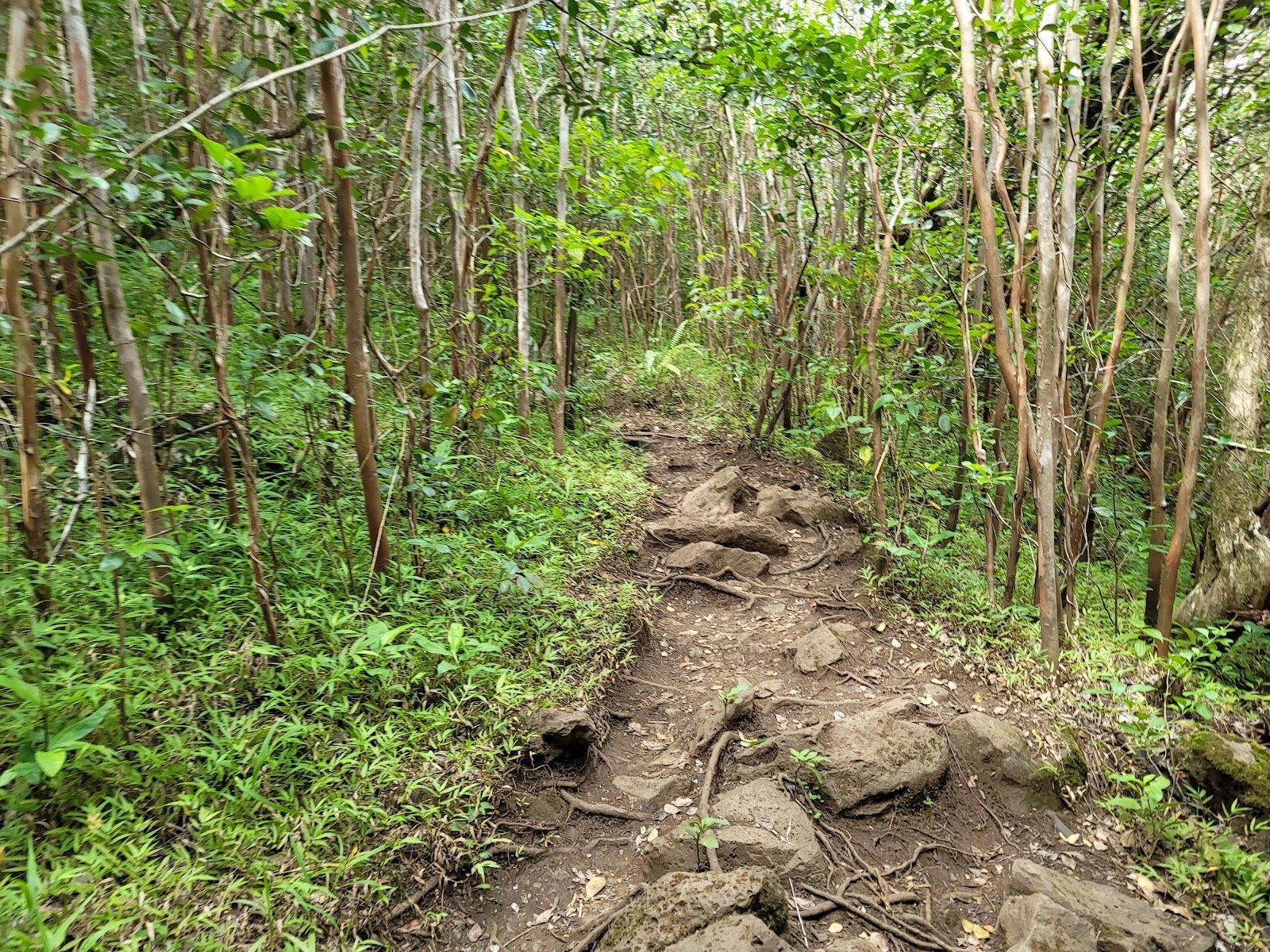 What to Do When an Oʻahu Trail Is Closed