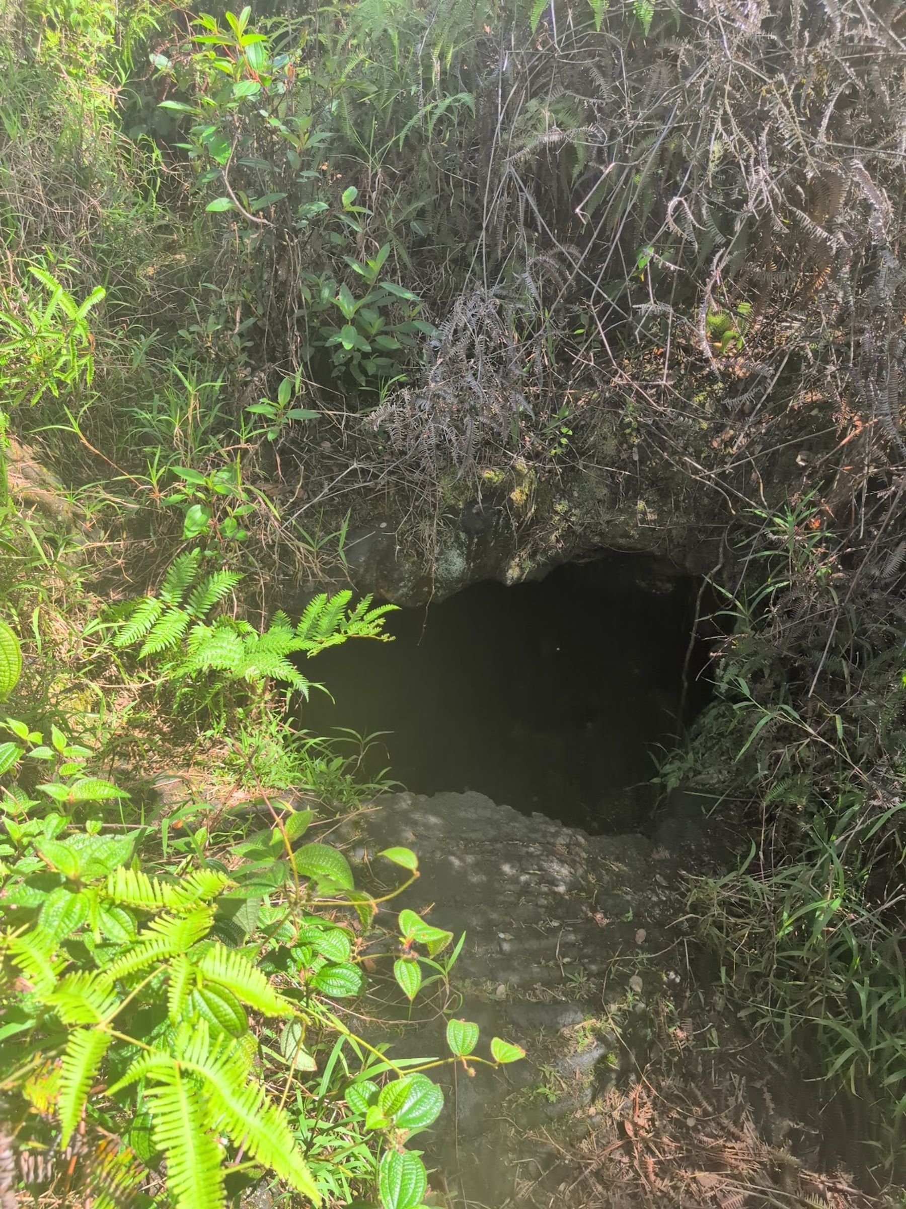 Photo 1 of Kaūmana Caves Surface Opening in Hilo, Big Island