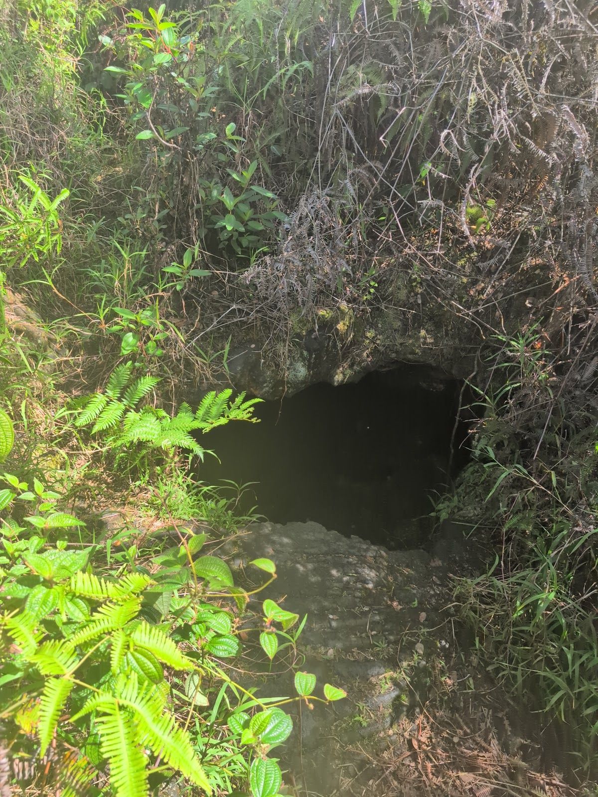 Photo 1 of Kaūmana Caves Surface Opening in Hilo, Big Island