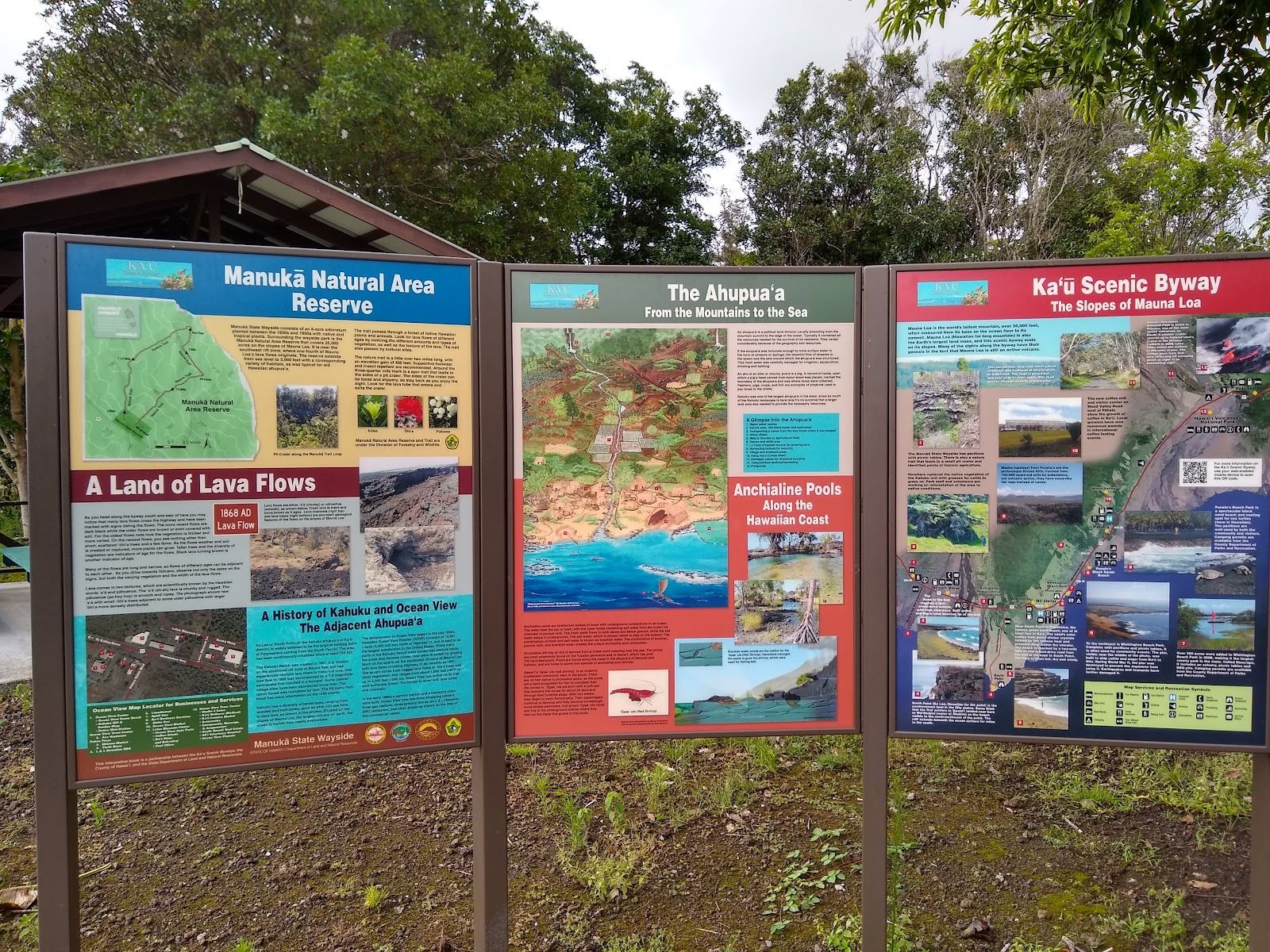 Photo 4 of Manuka State Wayside in South Point, Big Island
