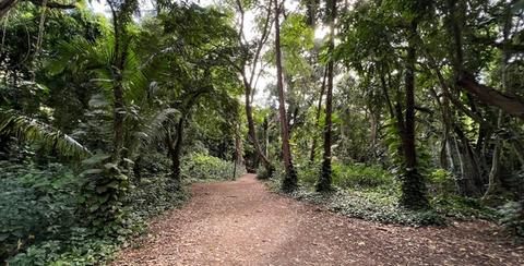 the Honolua Bay Access Trail