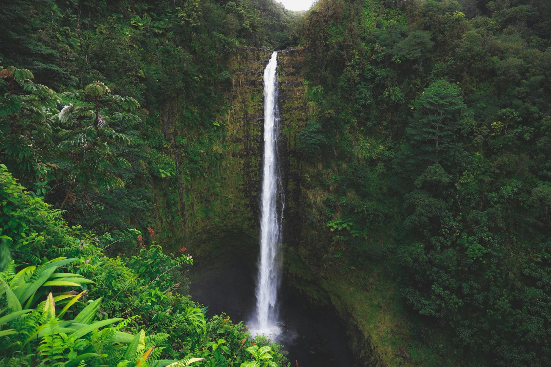 Tall waterfall plunging into a dark pool in a steep, lush green rainforest gorge near Hilo on Hawaii Island.