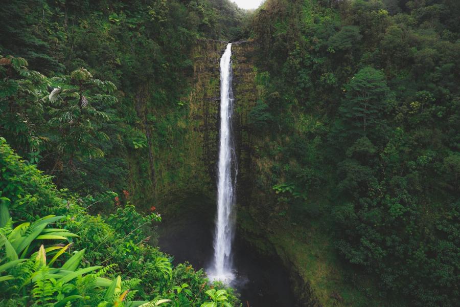 Tall waterfall plunging into a dark pool in a steep, lush green rainforest gorge near Hilo on Hawaii Island.