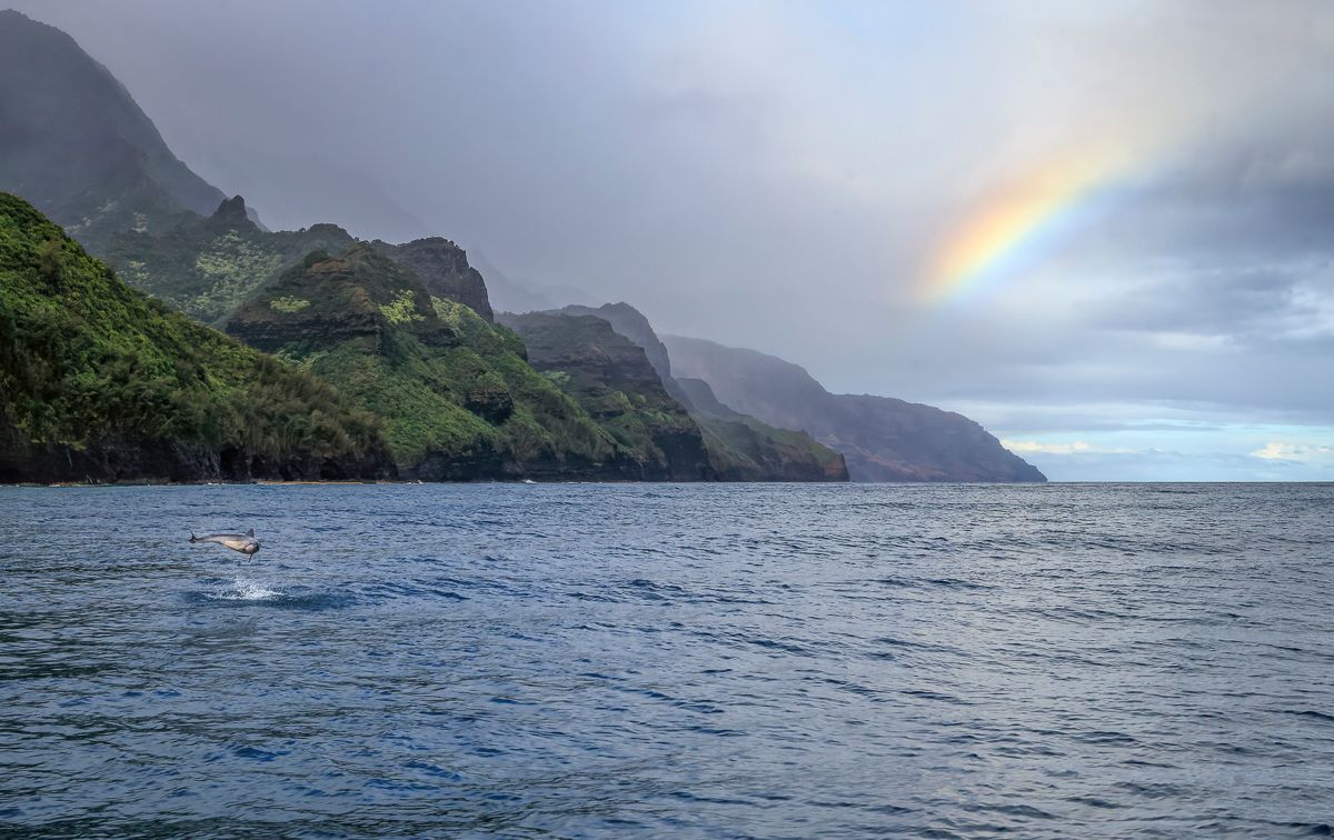 Na Pali Catamaran in Hanalei, Kaua‘i photo 4