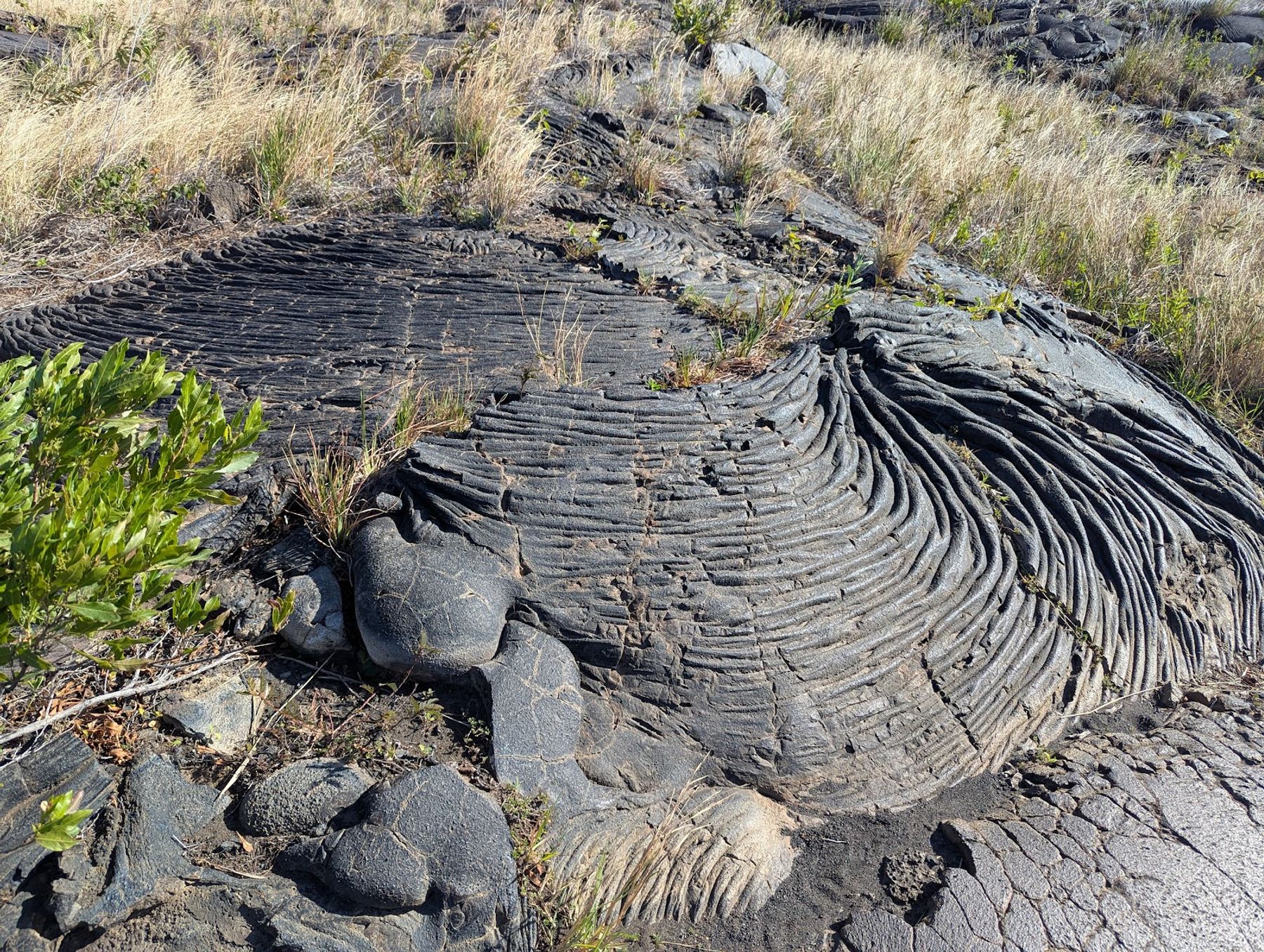 Photo 4 of Chain of Craters Road Turnaround in Volcano, Big Island