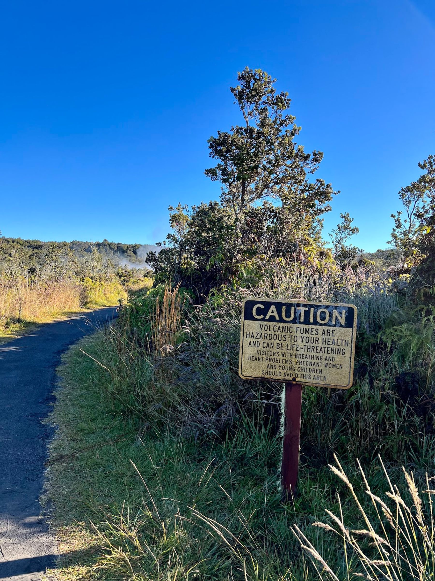 Photo 8 of Haʻakulamanu Sulphur Banks in Volcano, Big Island