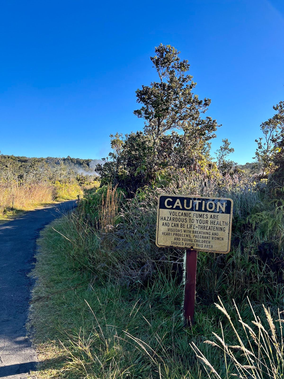 Photo 8 of Haʻakulamanu Sulphur Banks in Volcano, Big Island