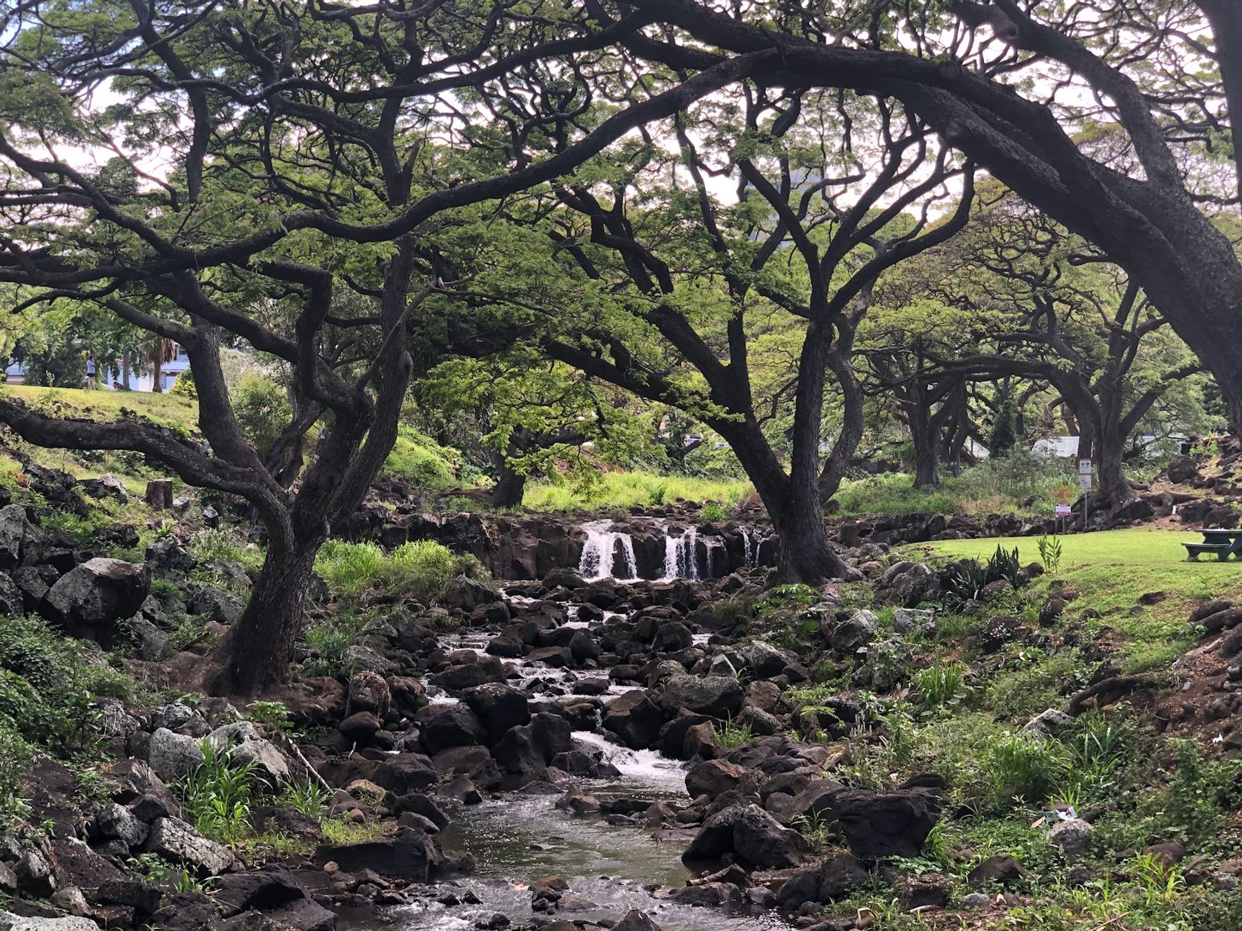 Photo 6 of Liliʻuokalani Botanical Garden in Mānoa, Makiki & Nuʻuanu, Oahu