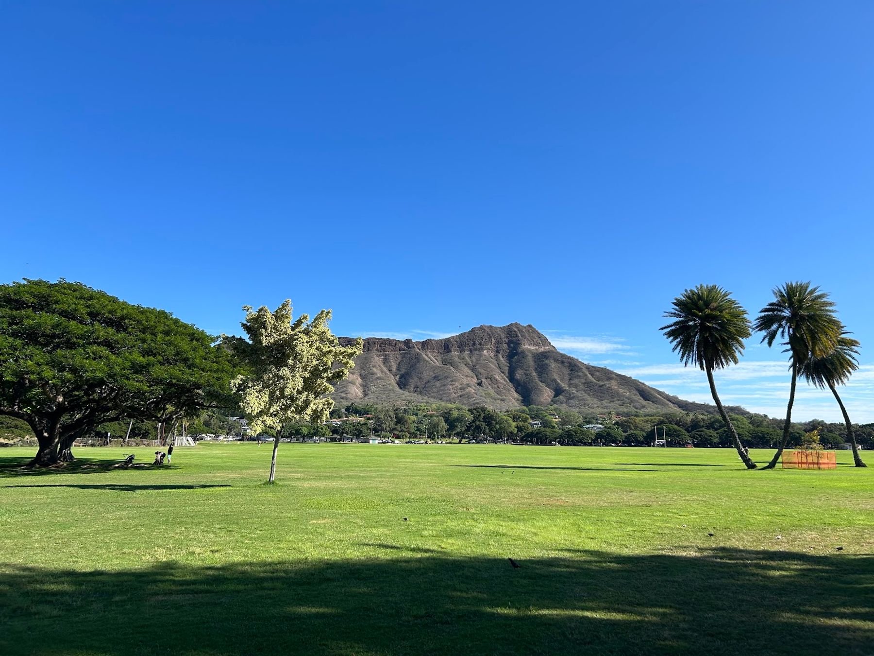 Photo 3 of Kapiʻolani Regional Park in Diamond Head & Kapahulu, Oahu