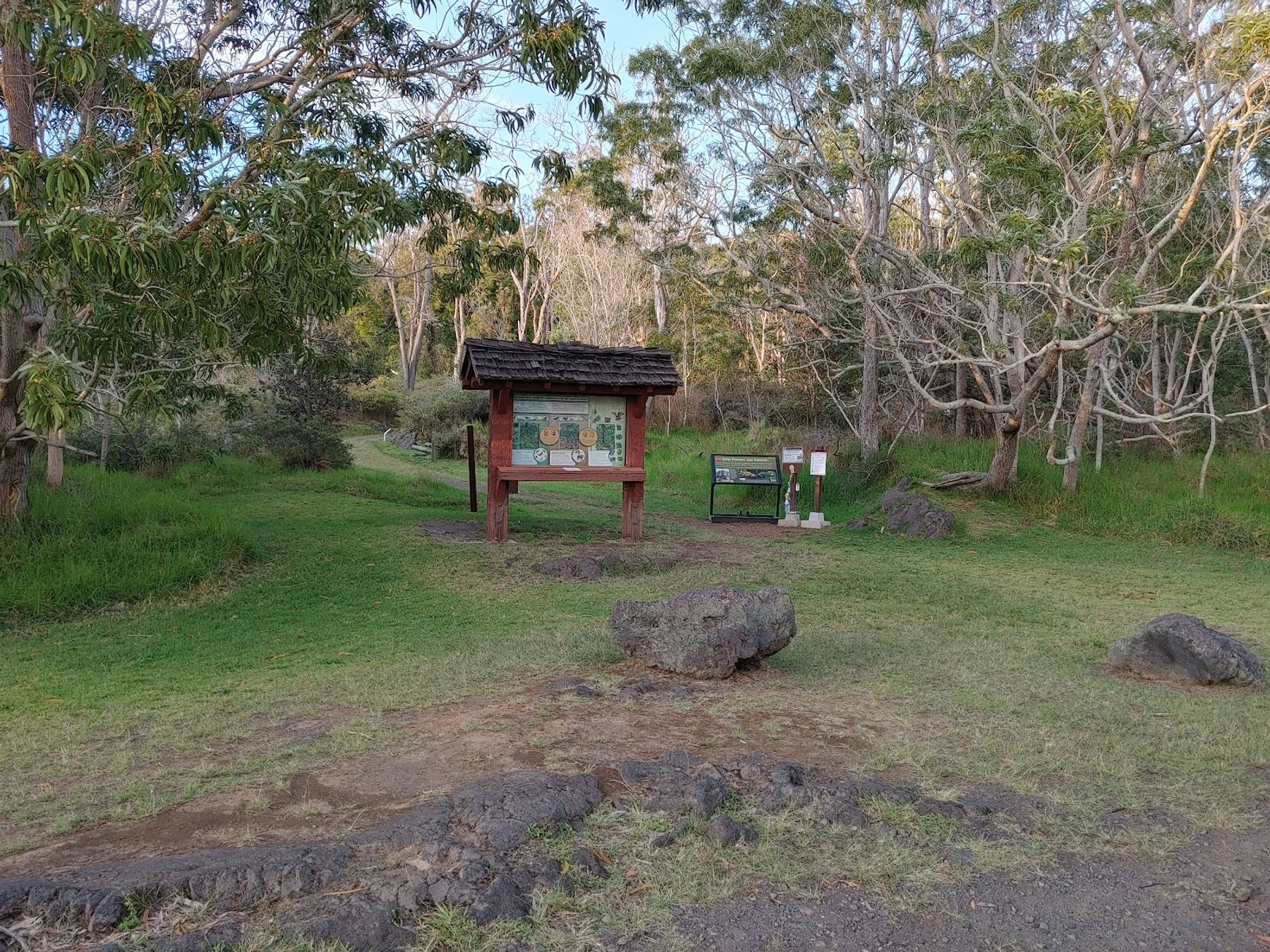 Photo 7 of Kipuka Puaulu Trail in Volcano, Big Island
