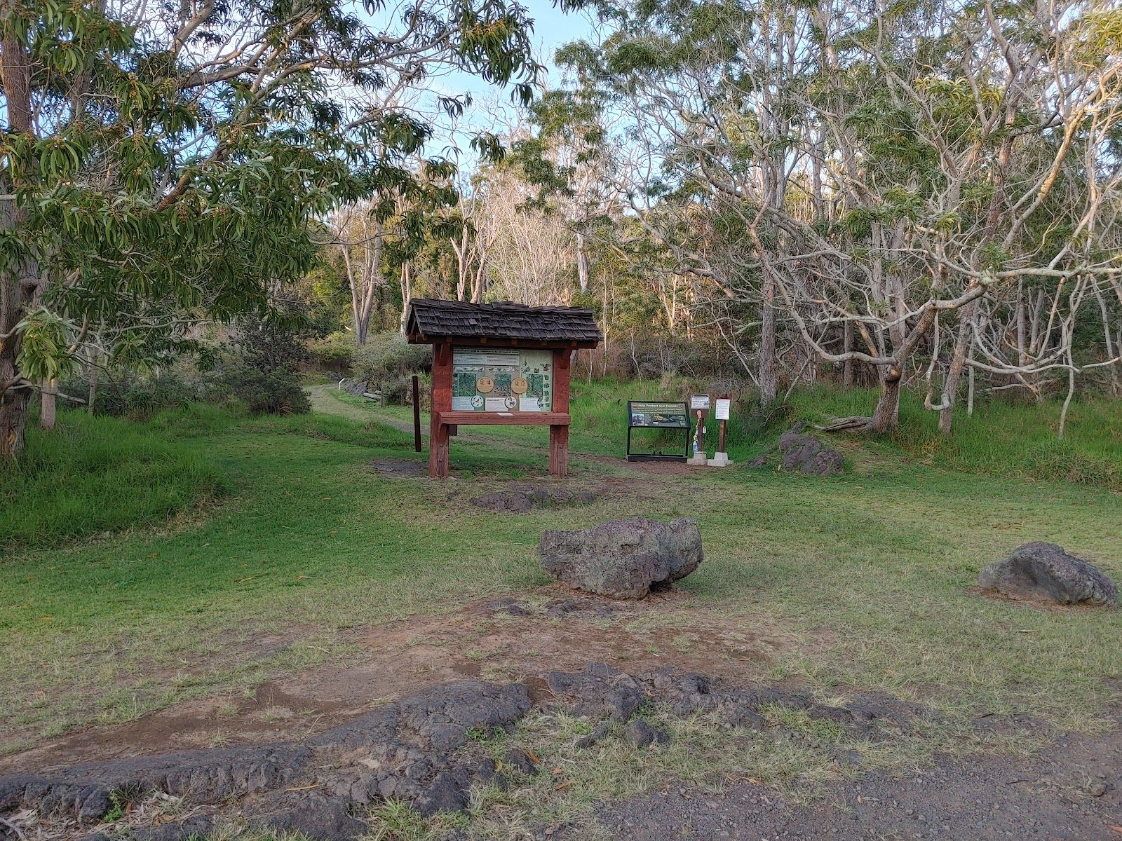 Photo 7 of Kipuka Puaulu Trail in Volcano, Big Island