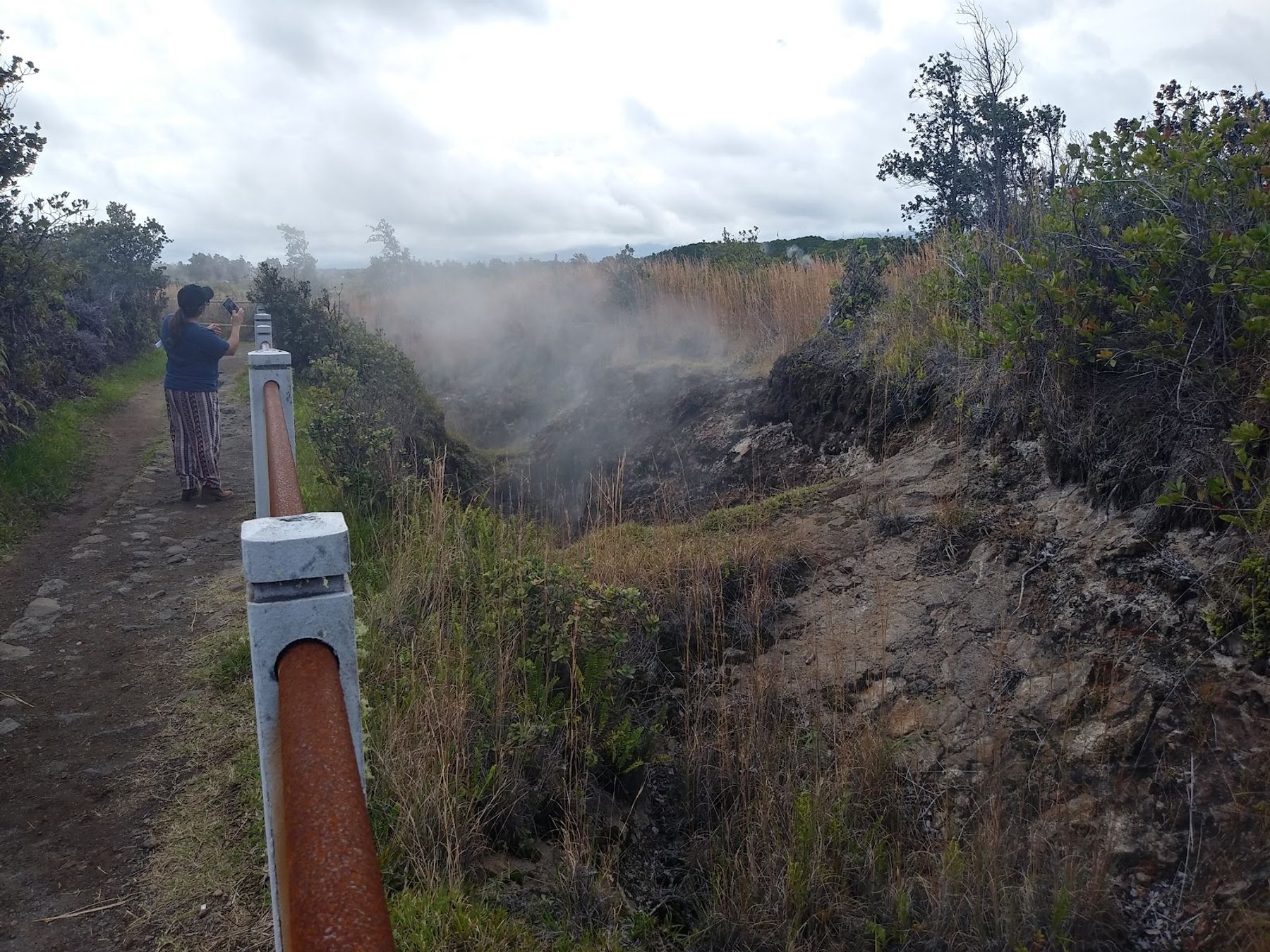 Photo 3 of Steam Vents in Volcano, Big Island