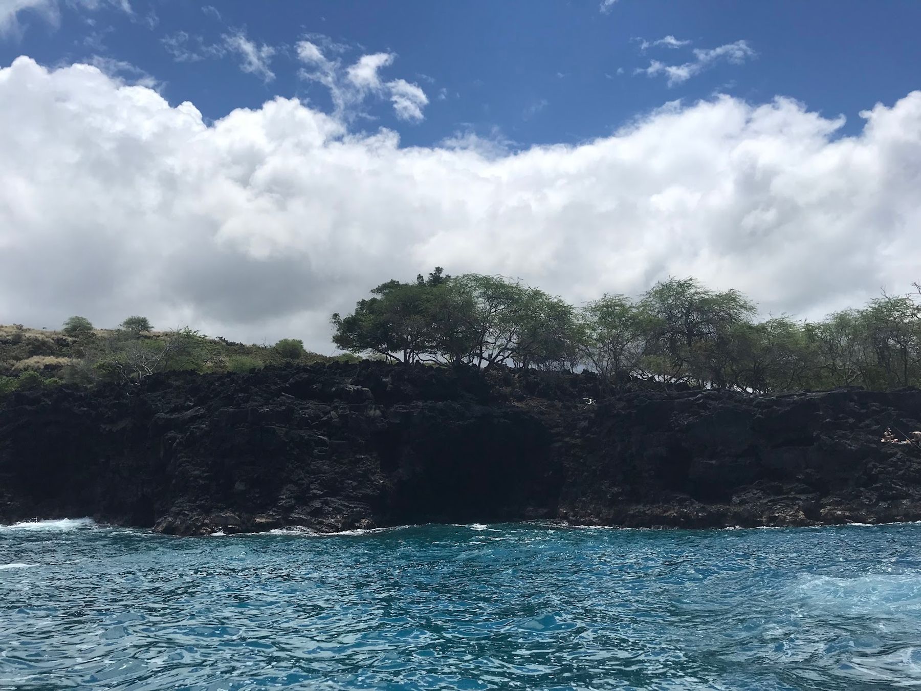 Photo 4 of Kona Coast Boat Tours in Kailua-Kona, Big Island
