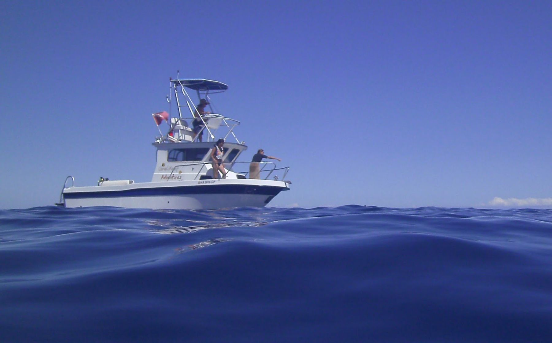 Photo 6 of Coral Reef Snorkel Adventures in Kailua-Kona, Big Island