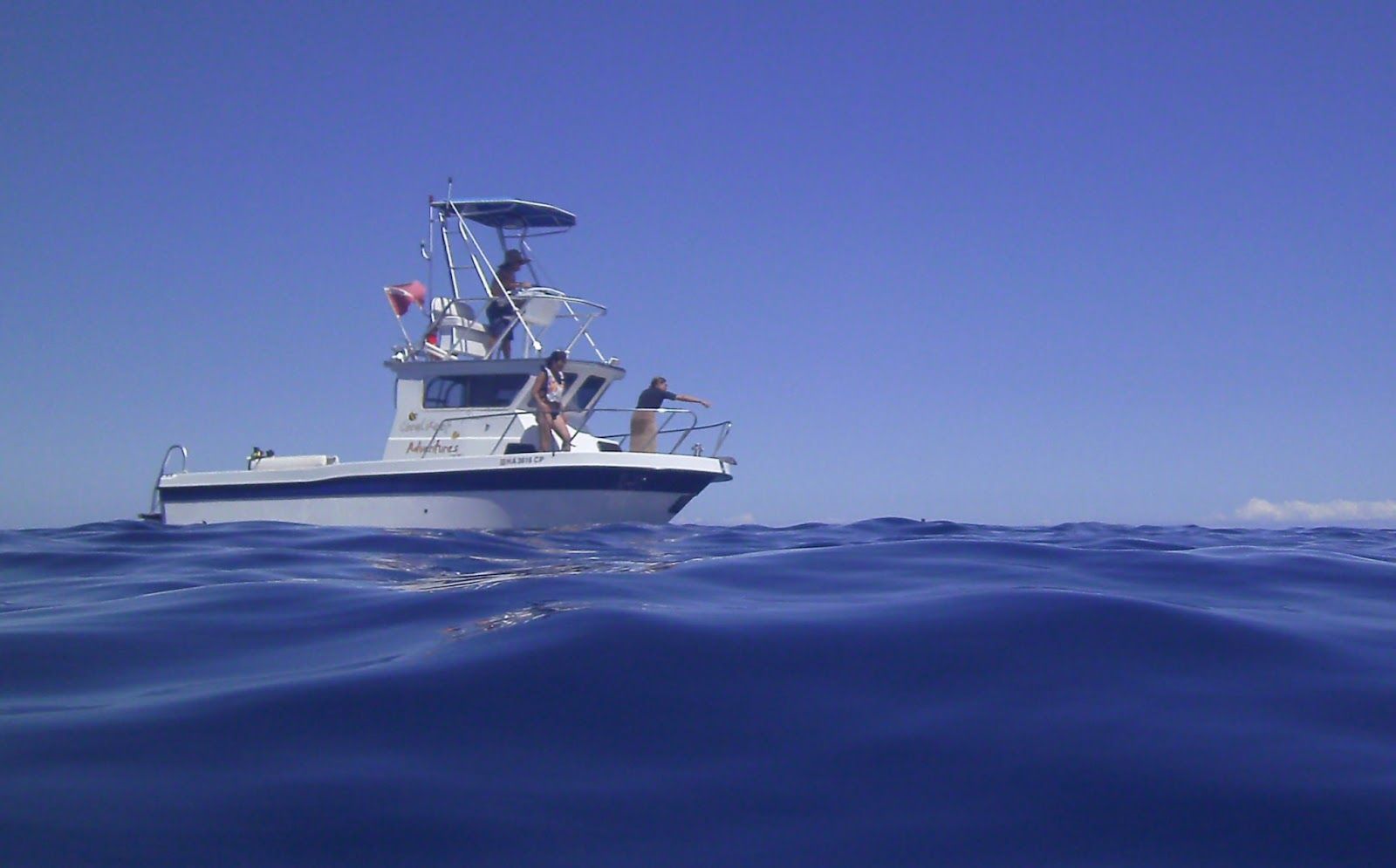Photo 6 of Coral Reef Snorkel Adventures in Kailua-Kona, Big Island