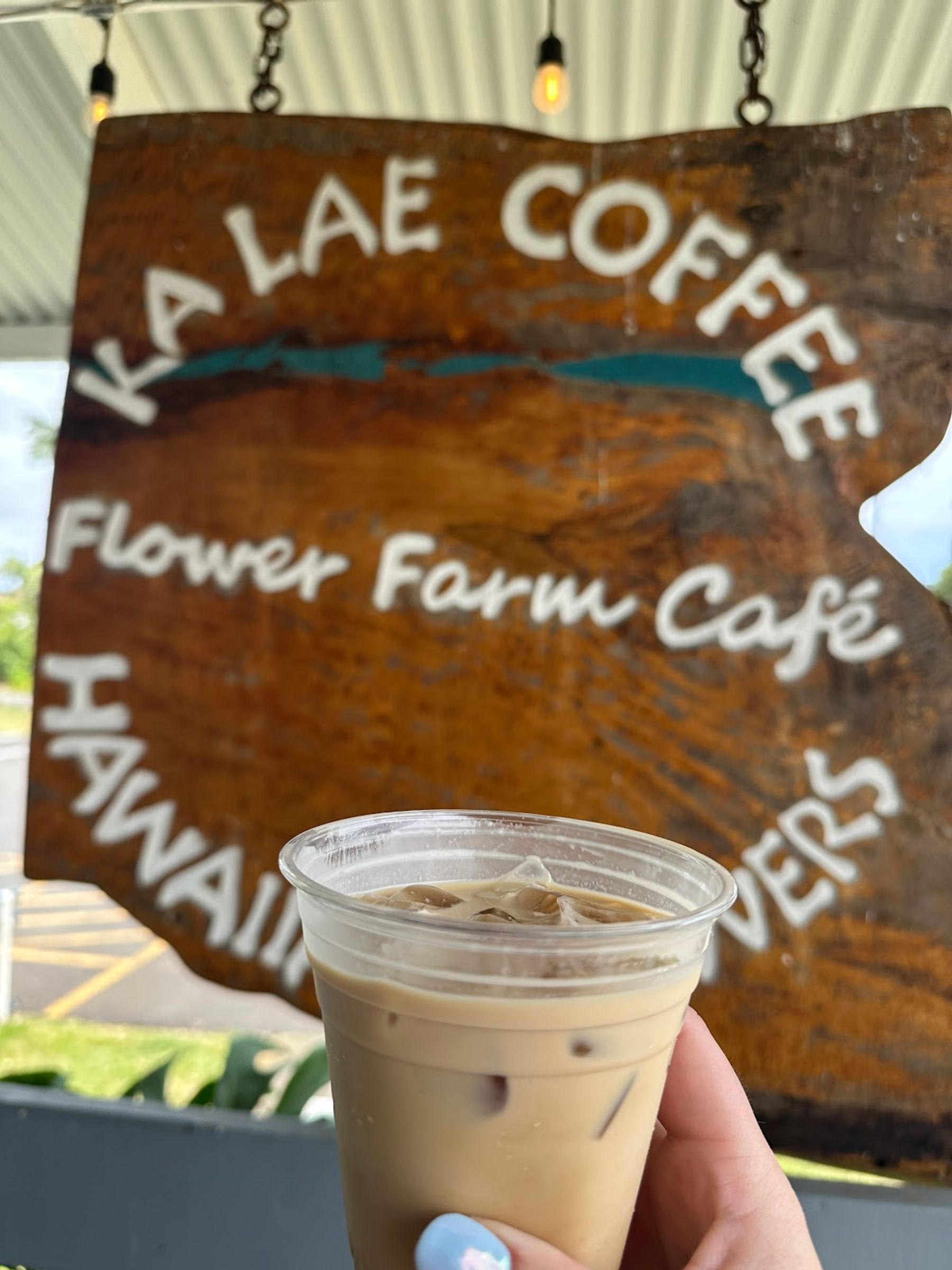 Photo 7 of Ka Lae Coffee in South Point, Big Island