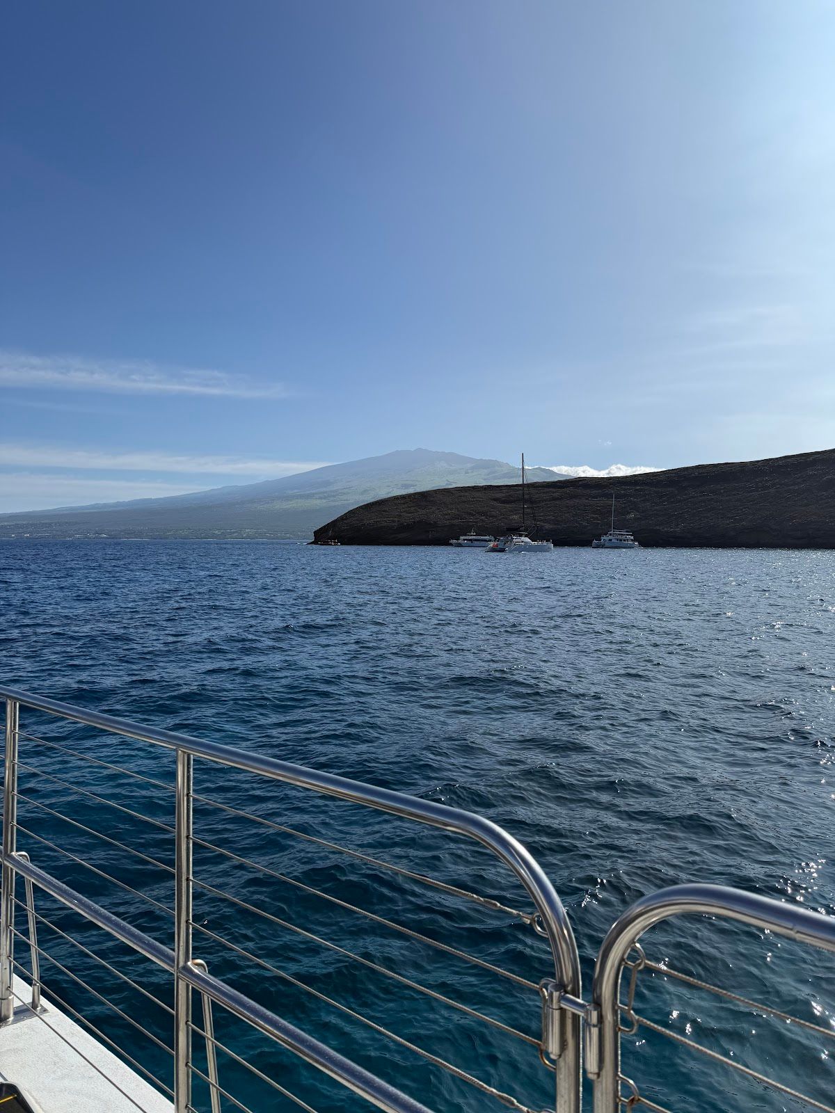 Photo 5 of Sail Maui in Lāhainā, Maui