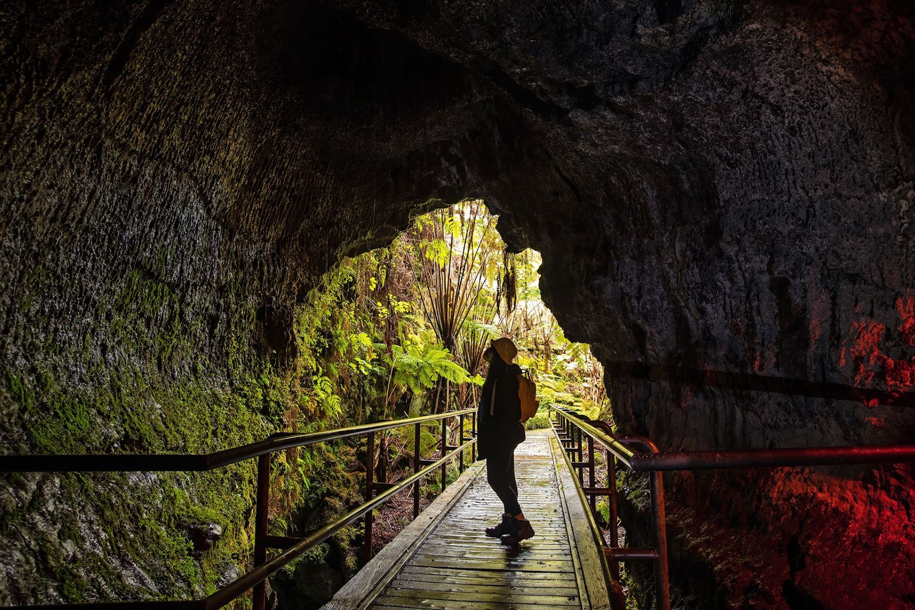 Photo 2 of Nāhuku Lava Tube in Volcano, Big Island
