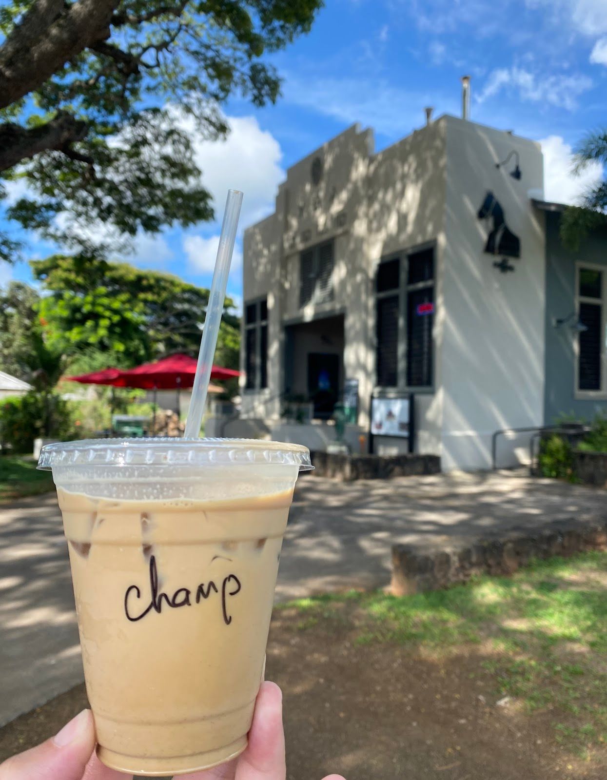 Photo 7 of Dark Horse Coffee Roasters in Kōloa, Kauai
