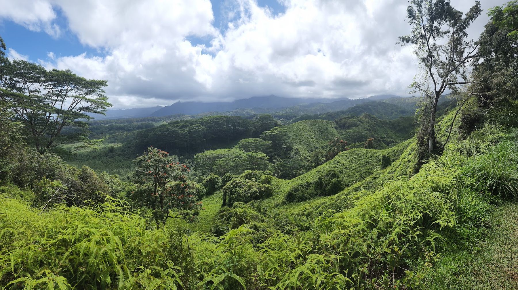 Panoramic view of lush green valleys and mountains from the gentle Kuilau Ridge Trail