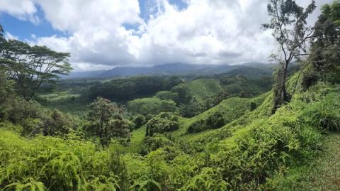 Panoramic view of lush green valleys and mountains from the gentle Kuilau Ridge Trail
