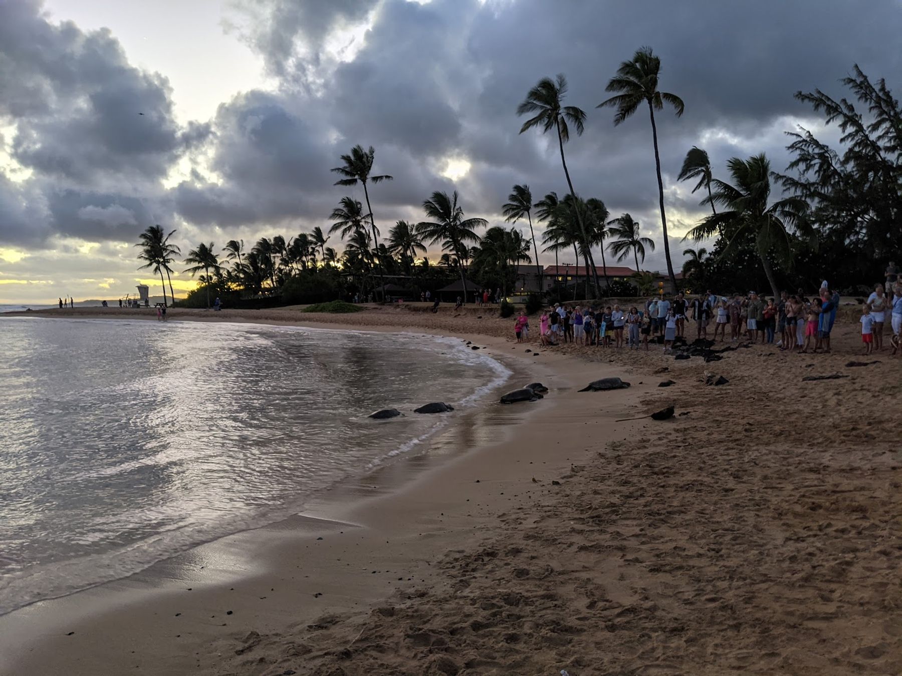 Poipu Beach in Poʻipū, Kaua‘i photo 2