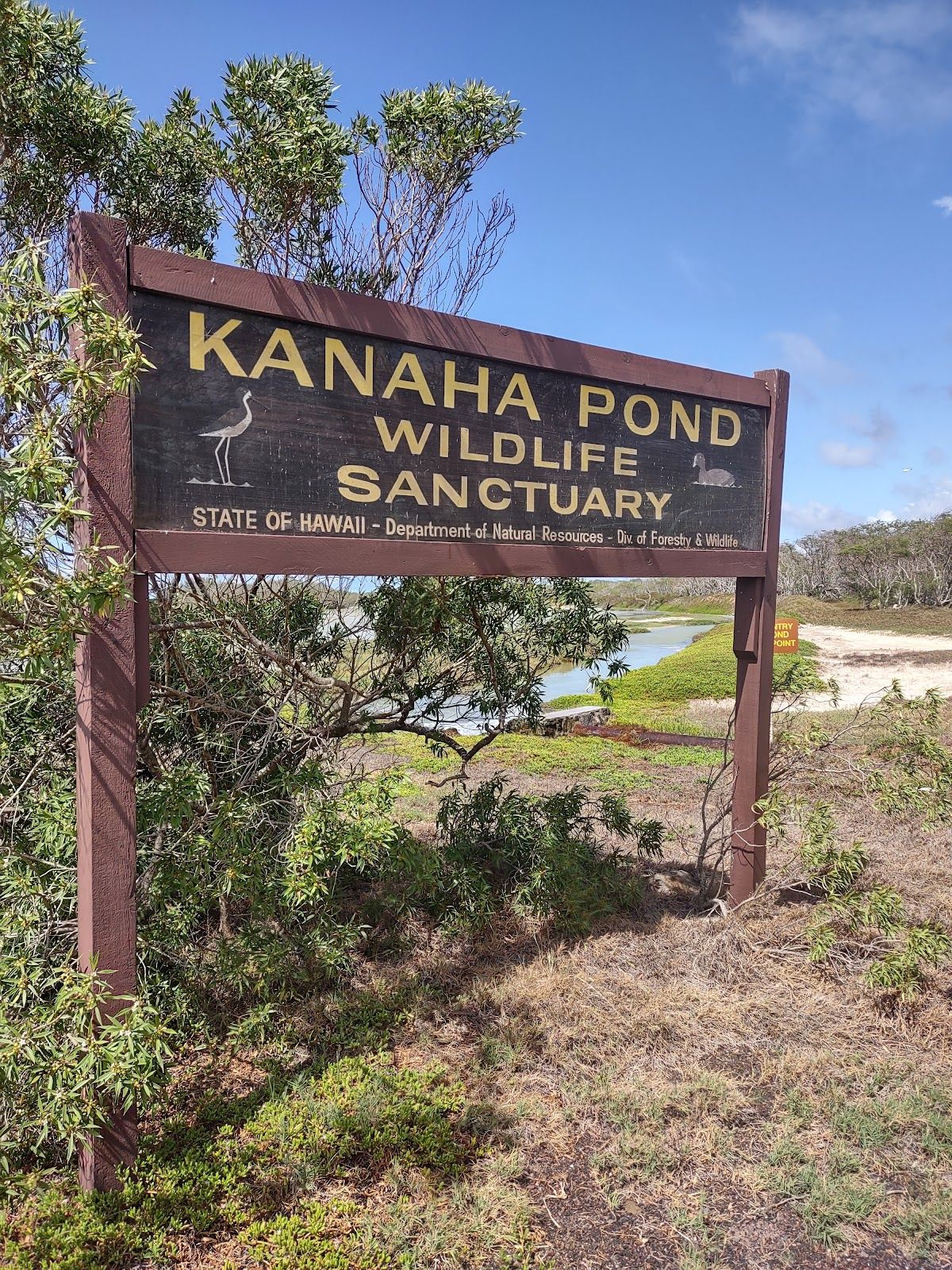 Photo 2 of Kanaha Pond State Wildlife Sanctuary in Kahului, Maui
