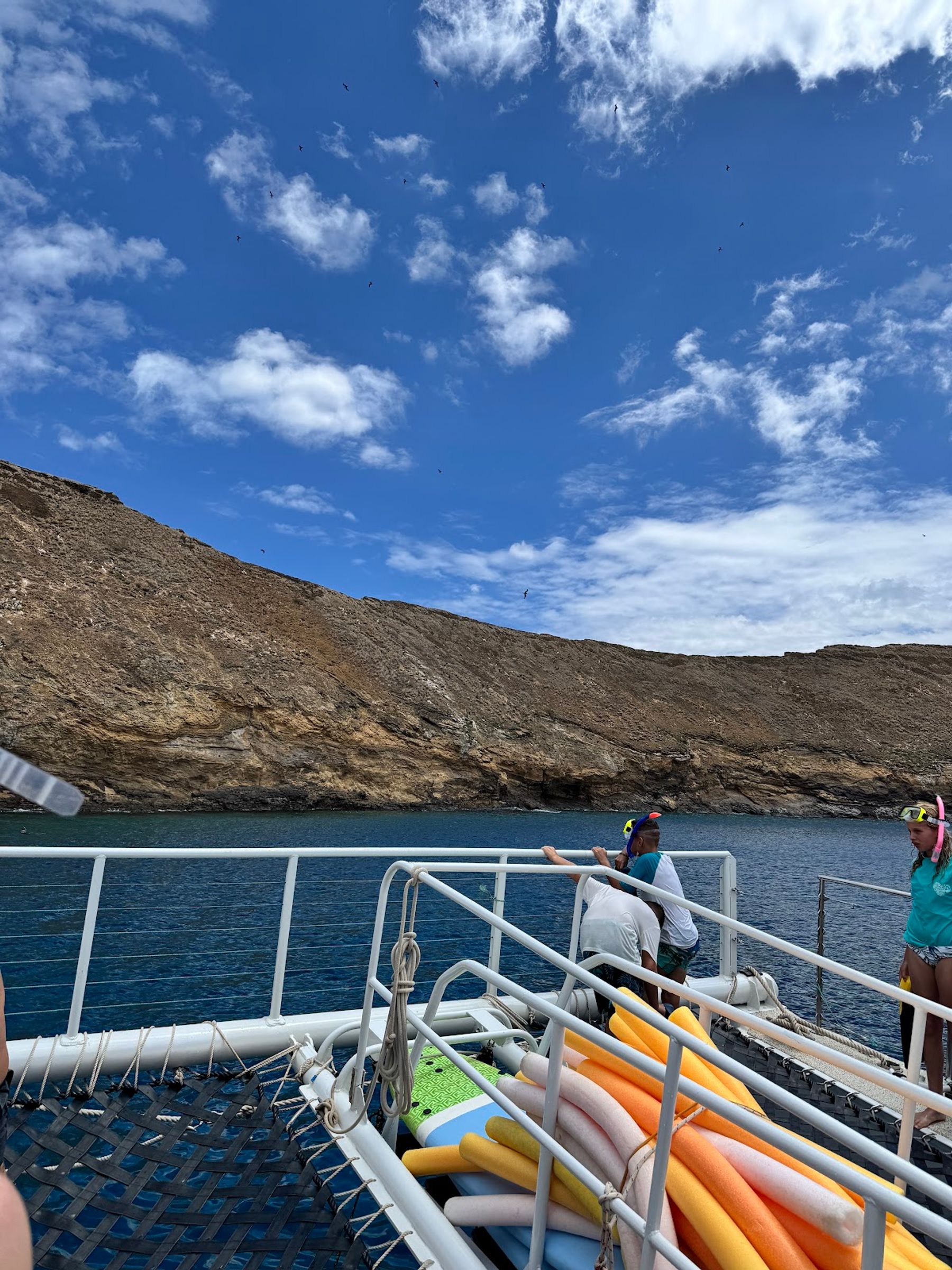 Photo 8 of Malolo Molokini Snorkeling Tours in Māʻalaea, Maui