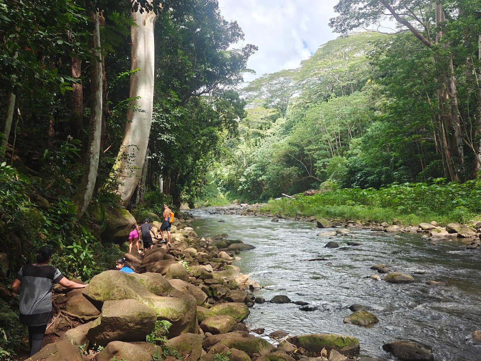 Photo 4 of Ali'i Kayaks in Kapaʻa, Kauai