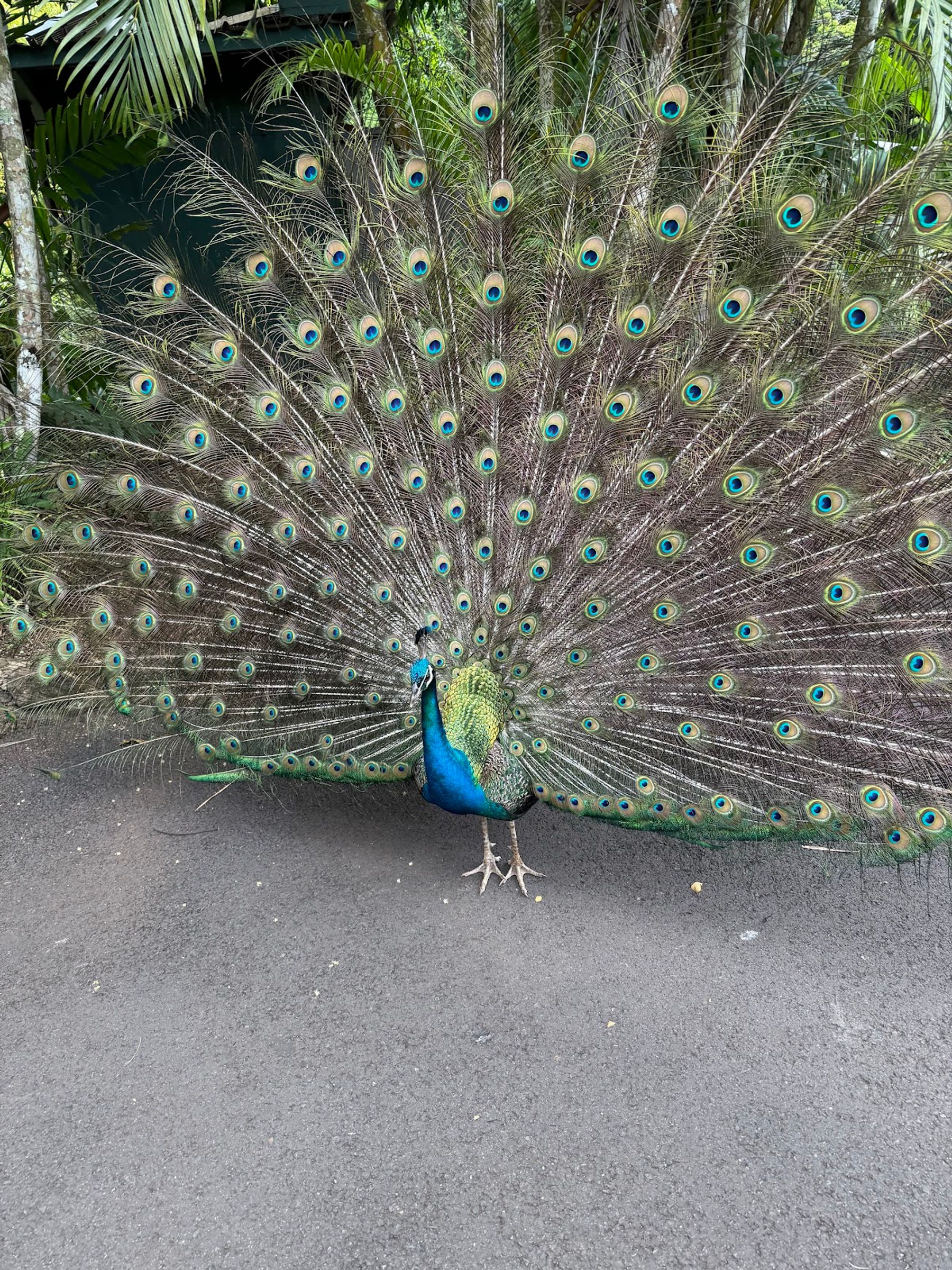 Photo 9 of Oahu Nature Tours in ʻEwa Beach, Oahu