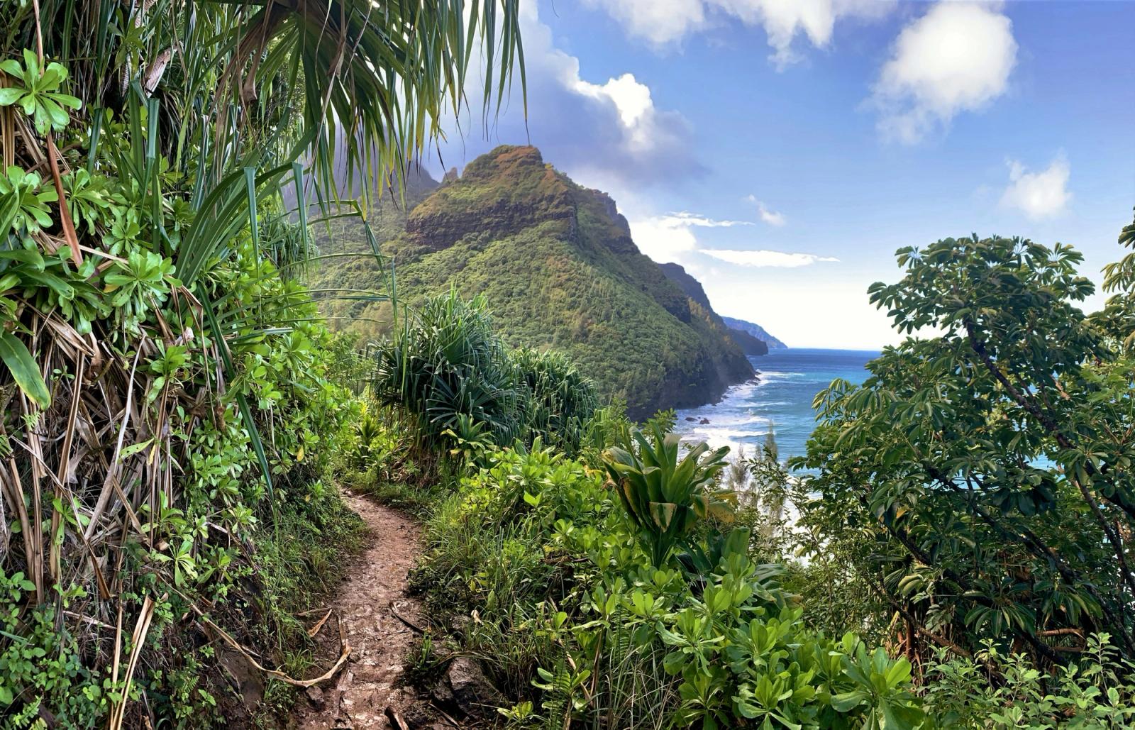 Respect the Trail: Hiking Etiquette and Environmental Tips for Kauai Visitors