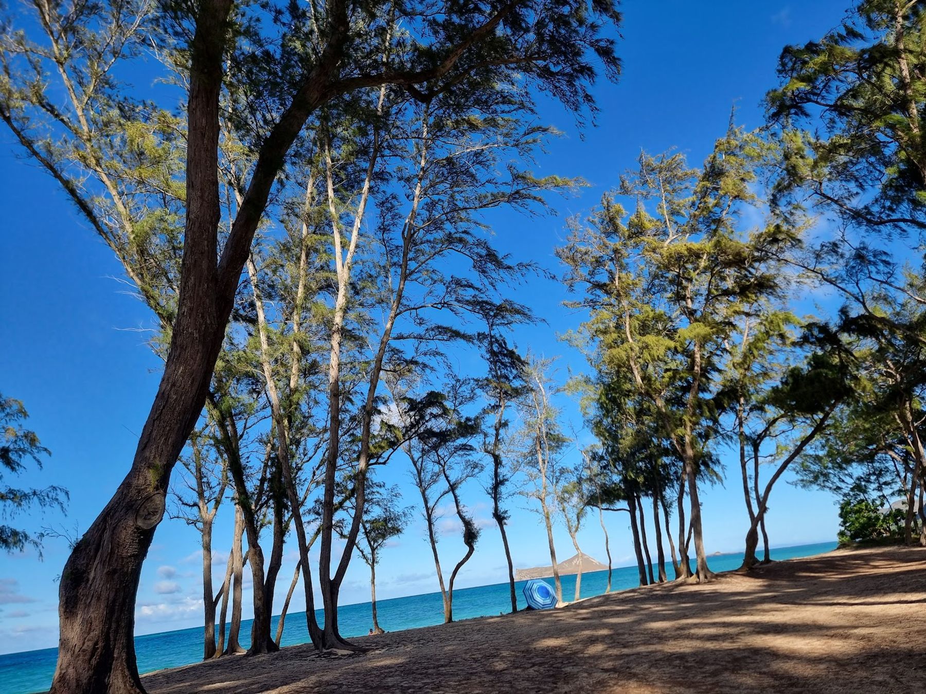Photo 9 of Waimānalo Beach Park in Waimānalo, Oahu