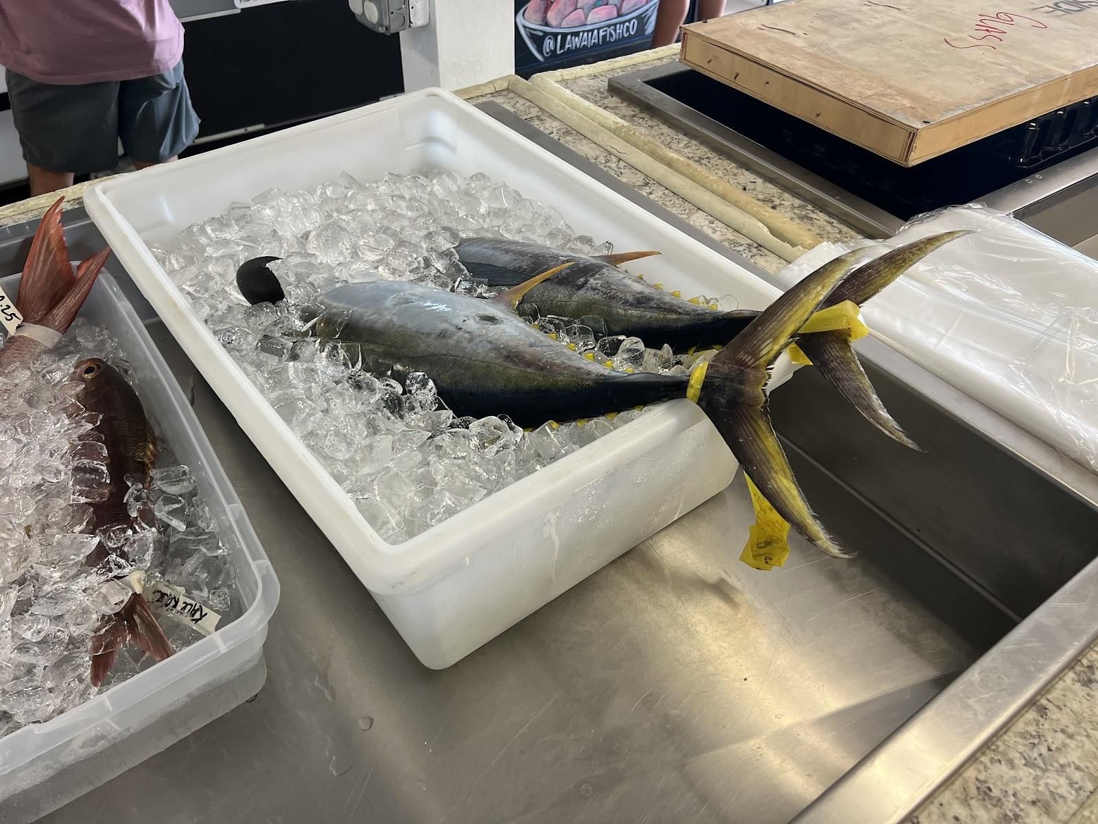 Lawai'a Fish Co. restaurant in Lihue, Kaua‘i photo 3