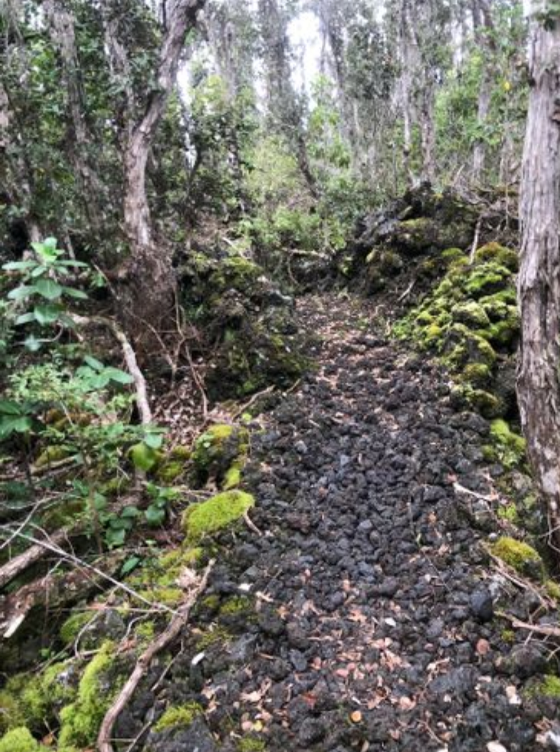 Photo 8 of Manukā Nature Trail in South Point, Big Island