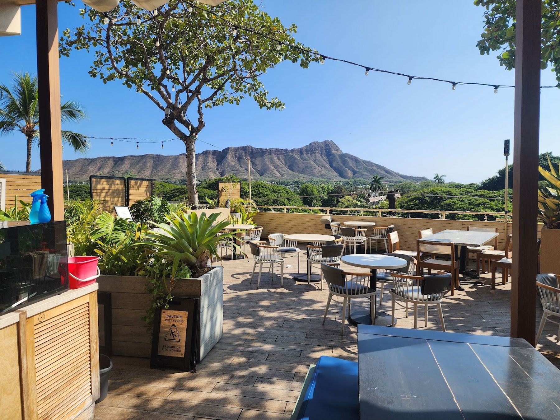Outdoor tables at DECK. facing the green slopes of Leahi above Waikiki.