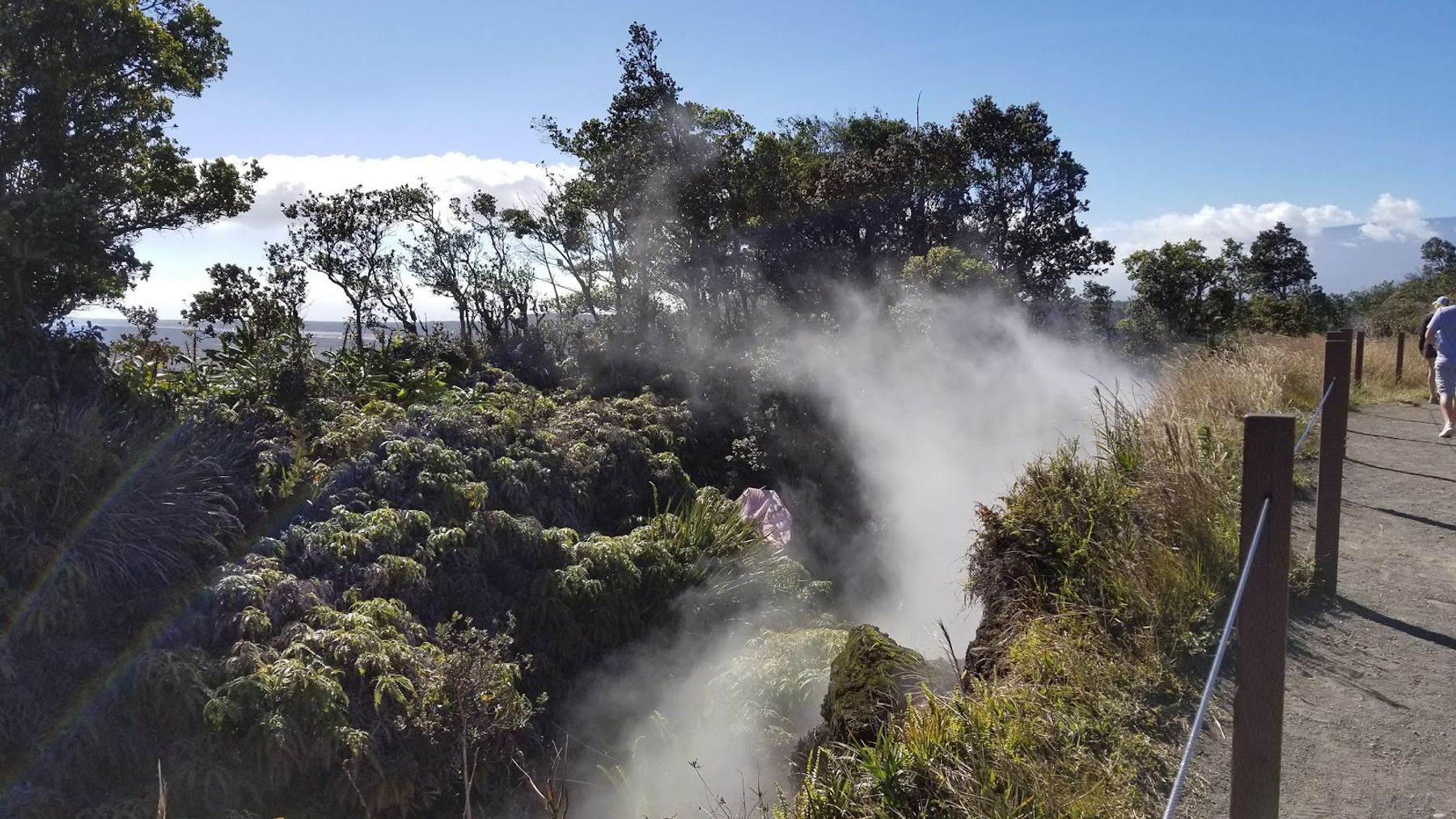 Photo 5 of Steam Vents in Volcano, Big Island